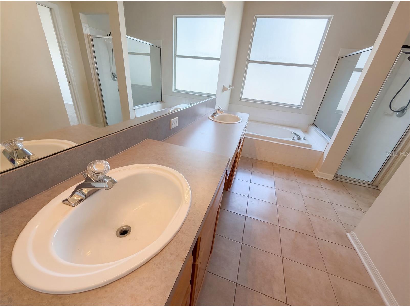 2727 Valencia Grove Drive Valrico FL 33596 O6392088 image30