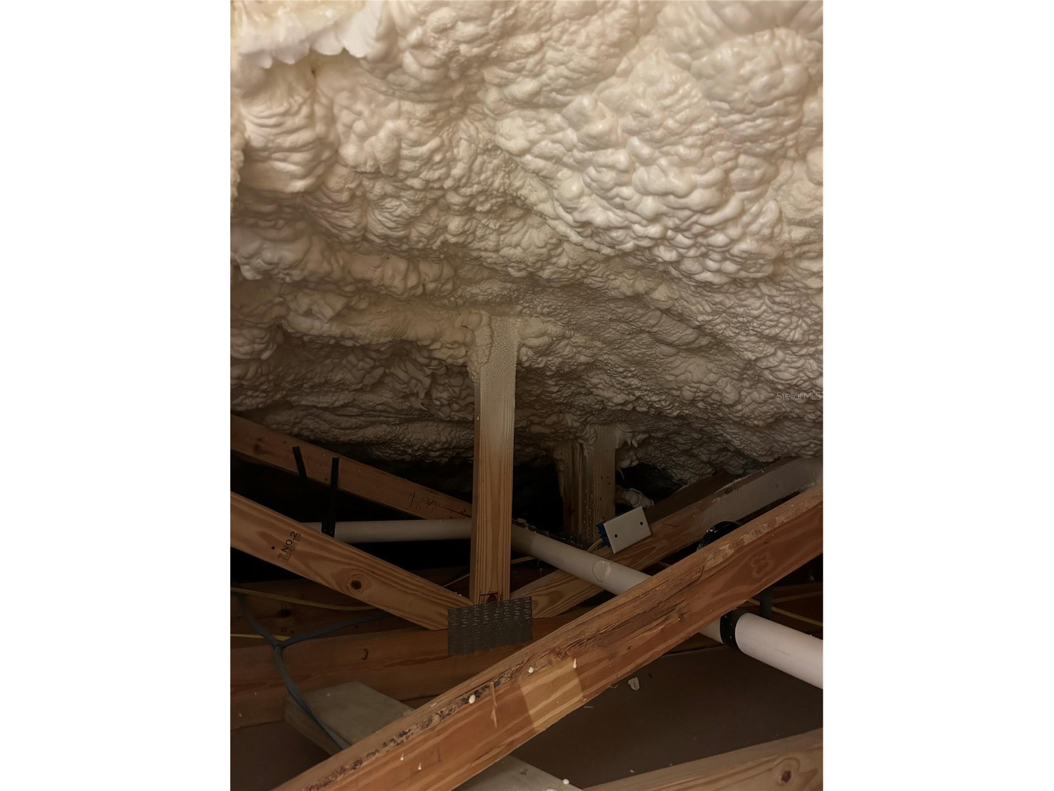 2727 W Chestnut Street Tampa FL 33607 TB8407030 image62