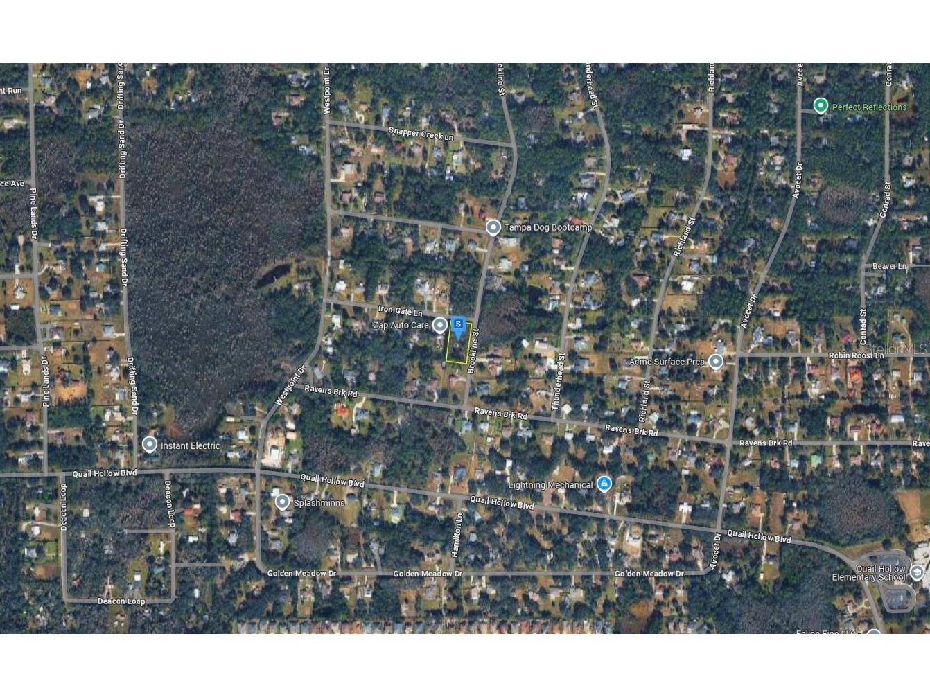 27272 Iron Gate Lane Wesley Chapel FL 33544 A4682211 image4