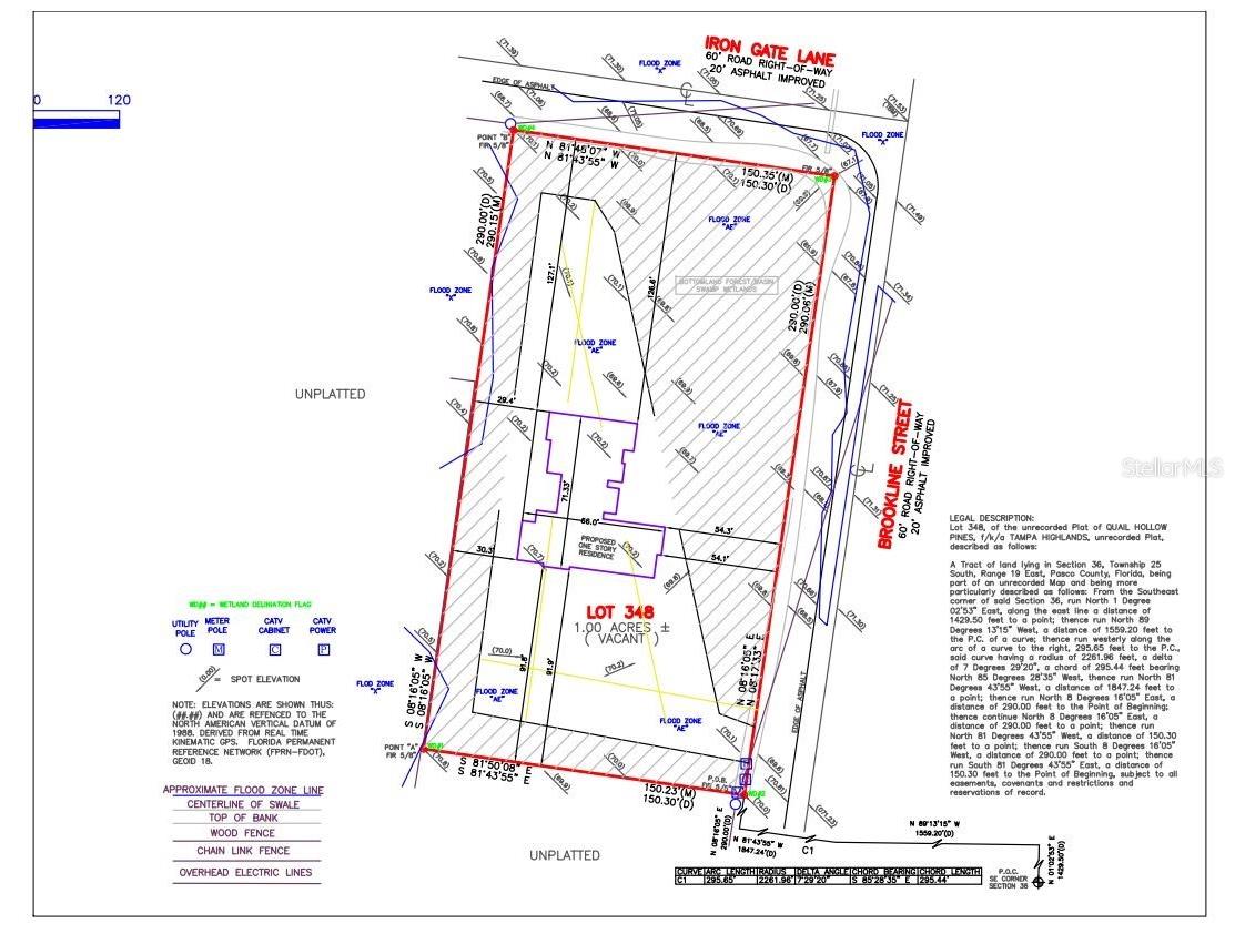 27272 Iron Gate Lane Wesley Chapel FL 33544 A4682211 image5