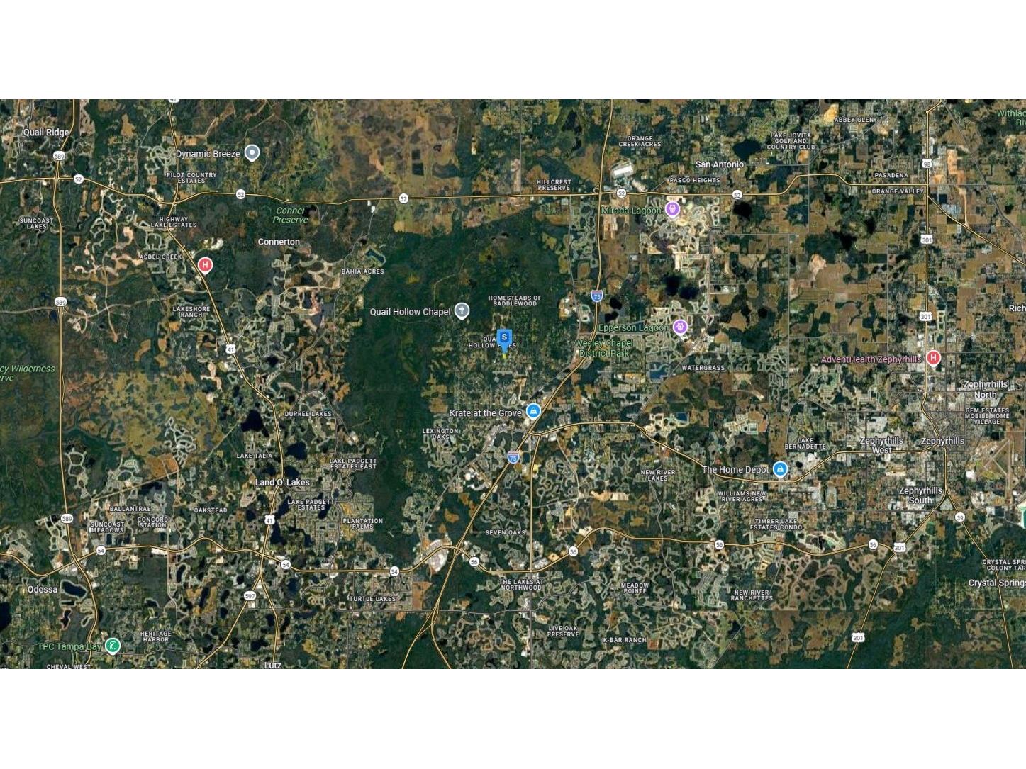 27272 Iron Gate Lane Wesley Chapel FL 33544 A4682211 image8