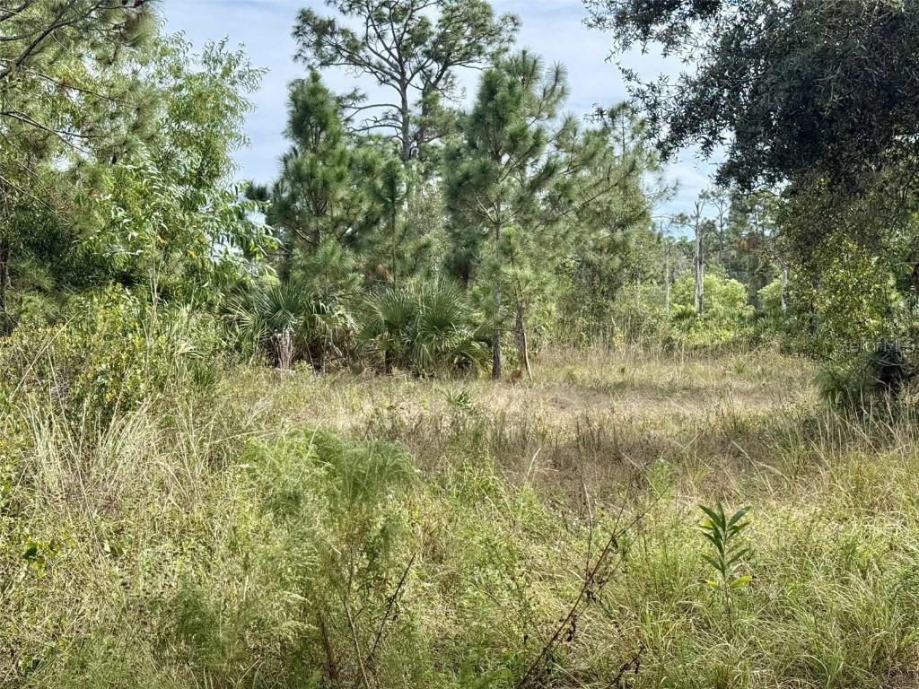 27275 Notre Dame Boulevard Punta Gorda FL 33955 C7517530 image3