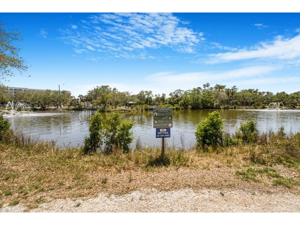 2728 58th Street S Gulfport FL 33707 - WOOD IBIS PARK R4910488 image36