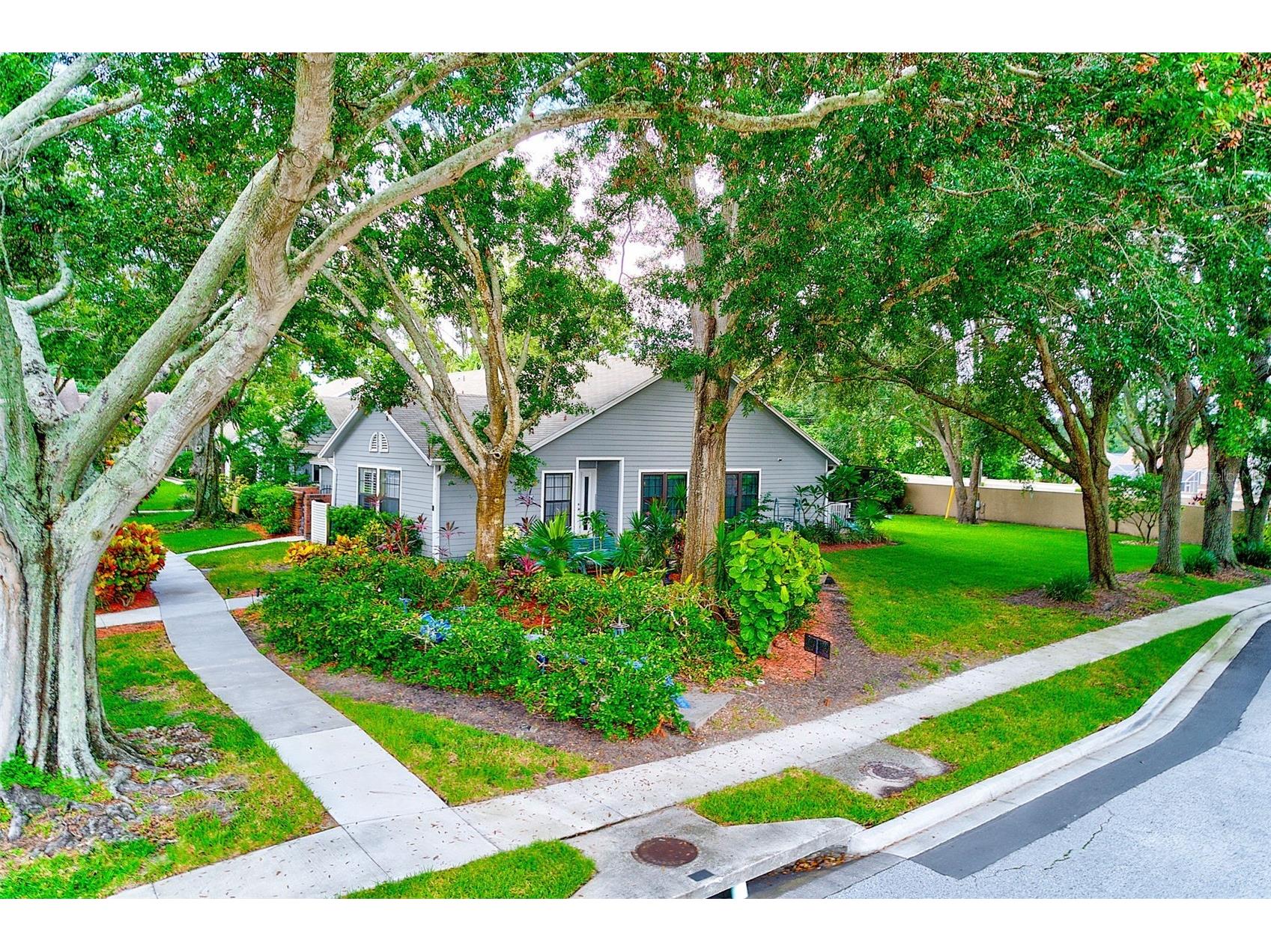 2728 Bentley Drive Palm Harbor FL 34684 TB8471054 image37