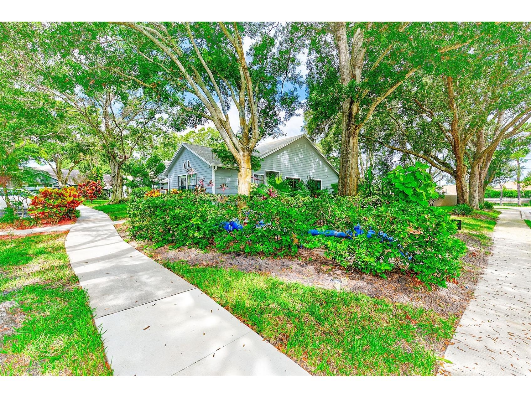 2728 Bentley Drive Palm Harbor FL 34684 TB8471054 image38