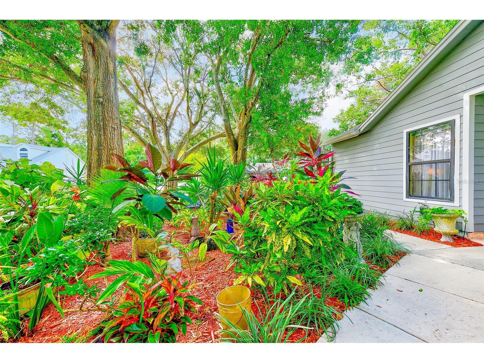 2728 Bentley Drive Palm Harbor FL 34684 TB8471054 image39