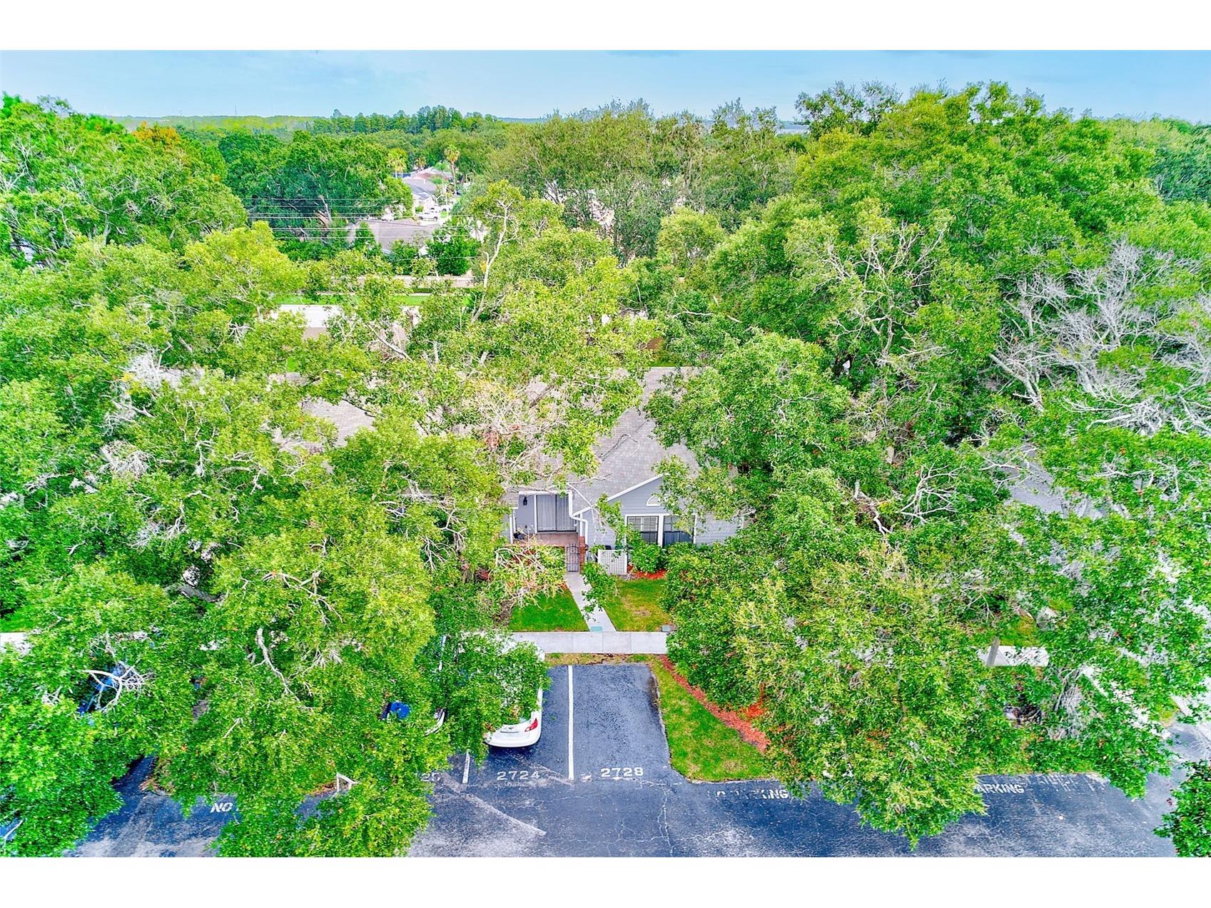 2728 Bentley Drive Palm Harbor FL 34684 TB8471054 image50