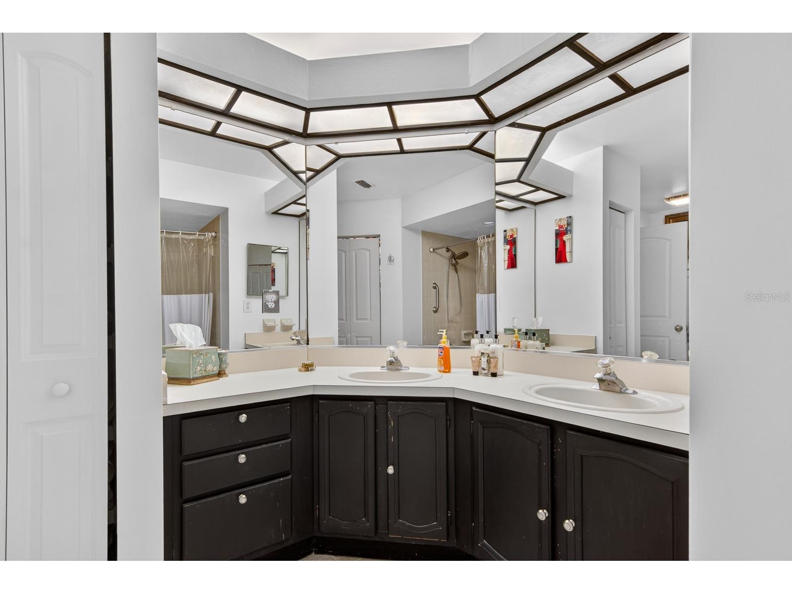 2728 Bentley Drive Palm Harbor FL 34684 TB8515608 image24