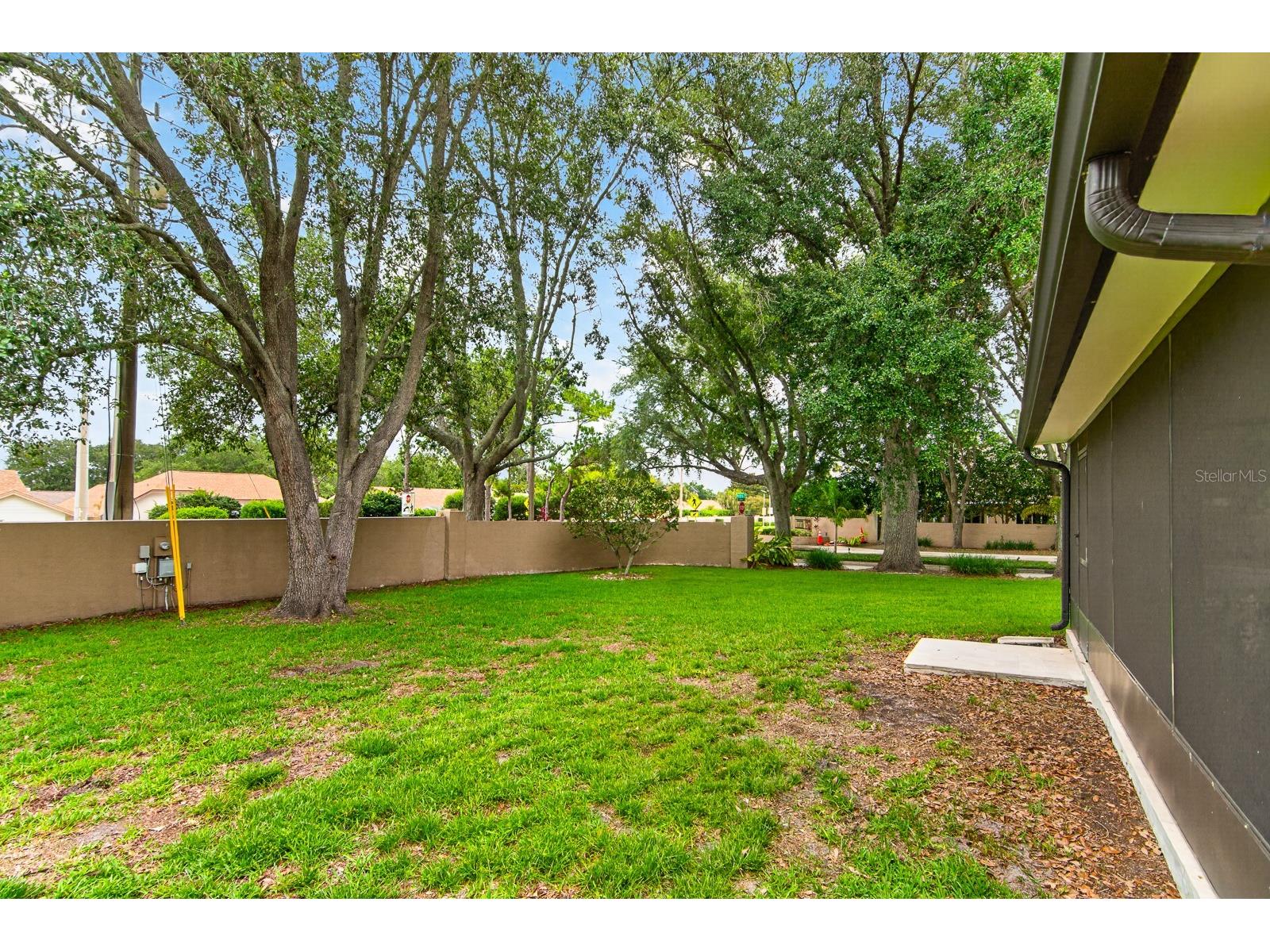 2728 Bentley Drive Palm Harbor FL 34684 TB8515608 image33
