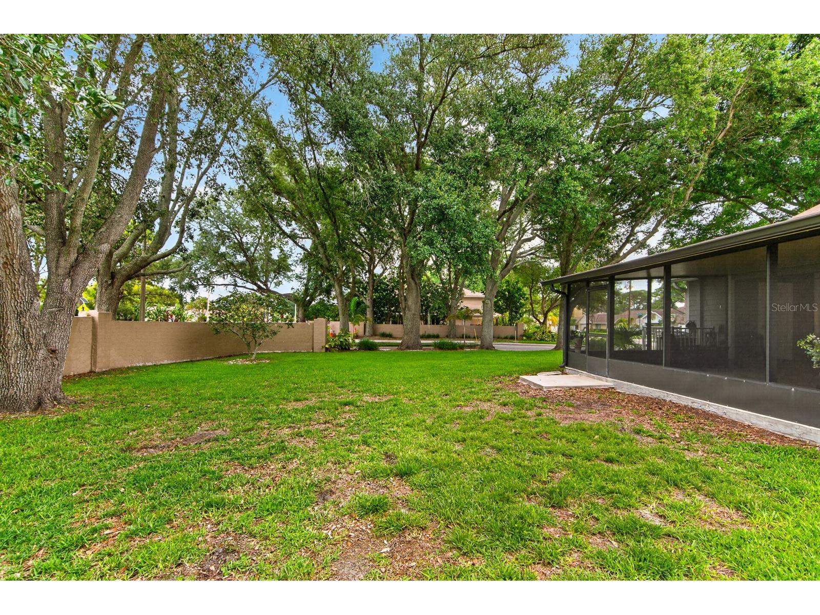 2728 Bentley Drive Palm Harbor FL 34684 TB8515608 image34