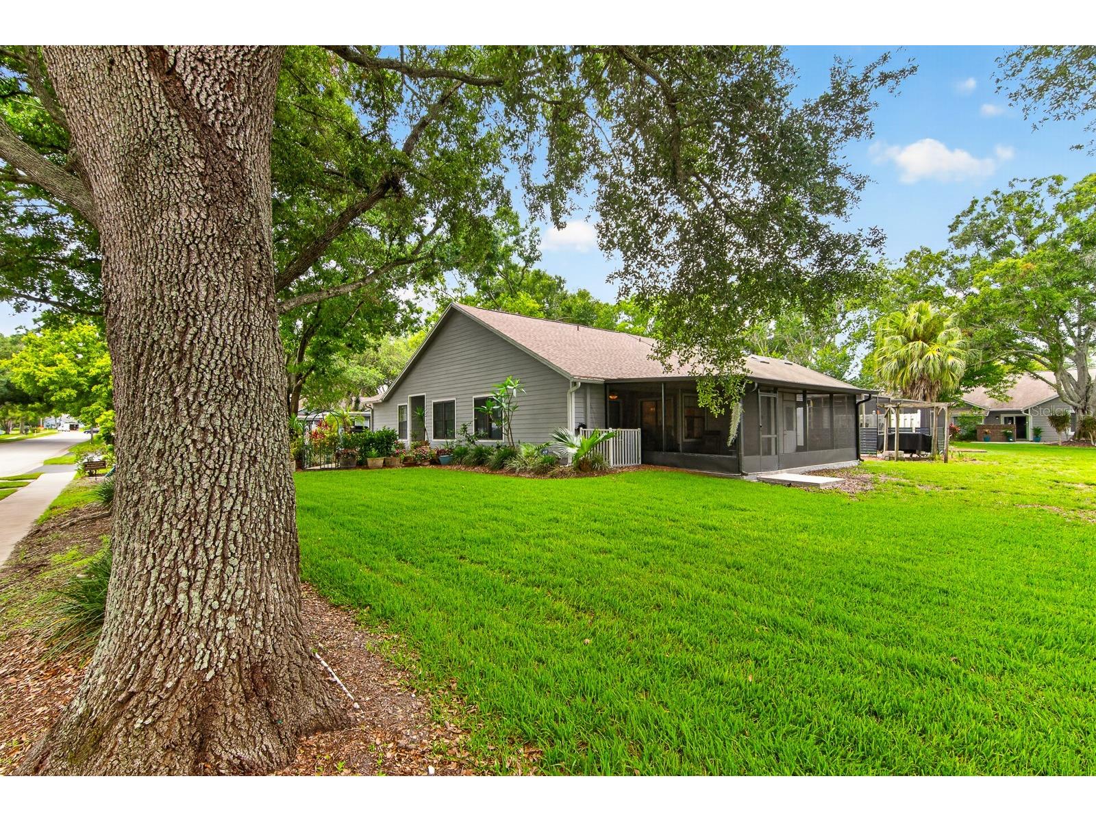 2728 Bentley Drive Palm Harbor FL 34684 TB8515608 image36