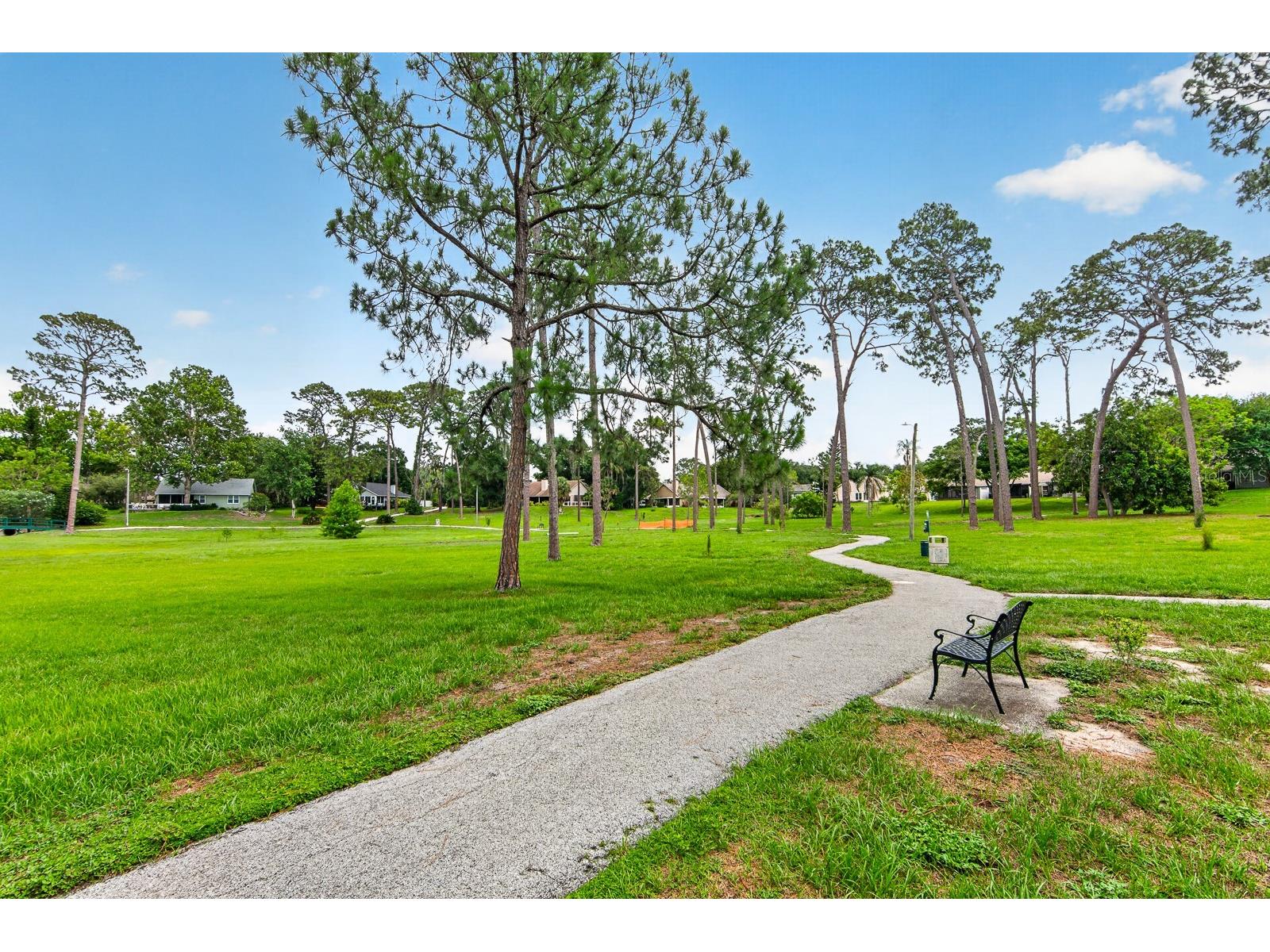 2728 Bentley Drive Palm Harbor FL 34684 TB8515608 image45