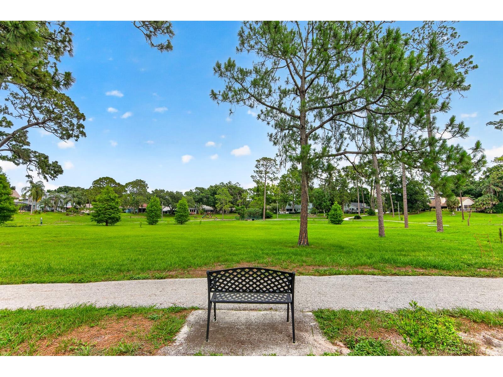 2728 Bentley Drive Palm Harbor FL 34684 TB8515608 image47