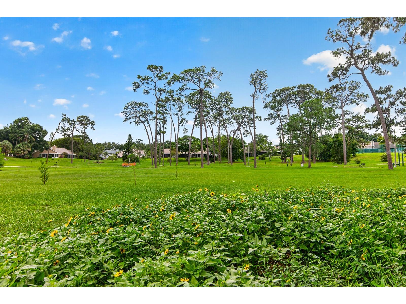 2728 Bentley Drive Palm Harbor FL 34684 TB8515608 image48