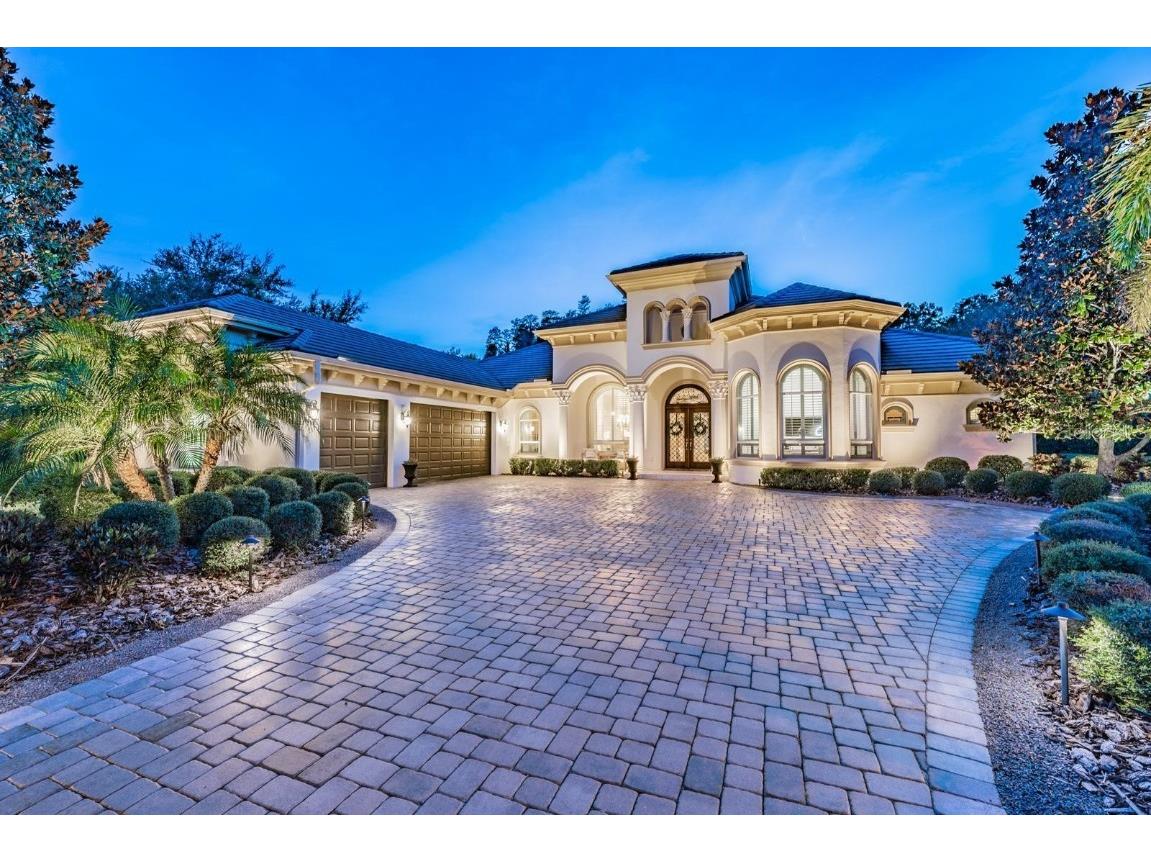 2728 Deer Track Way Palm Harbor FL 34685 U8206869 image1