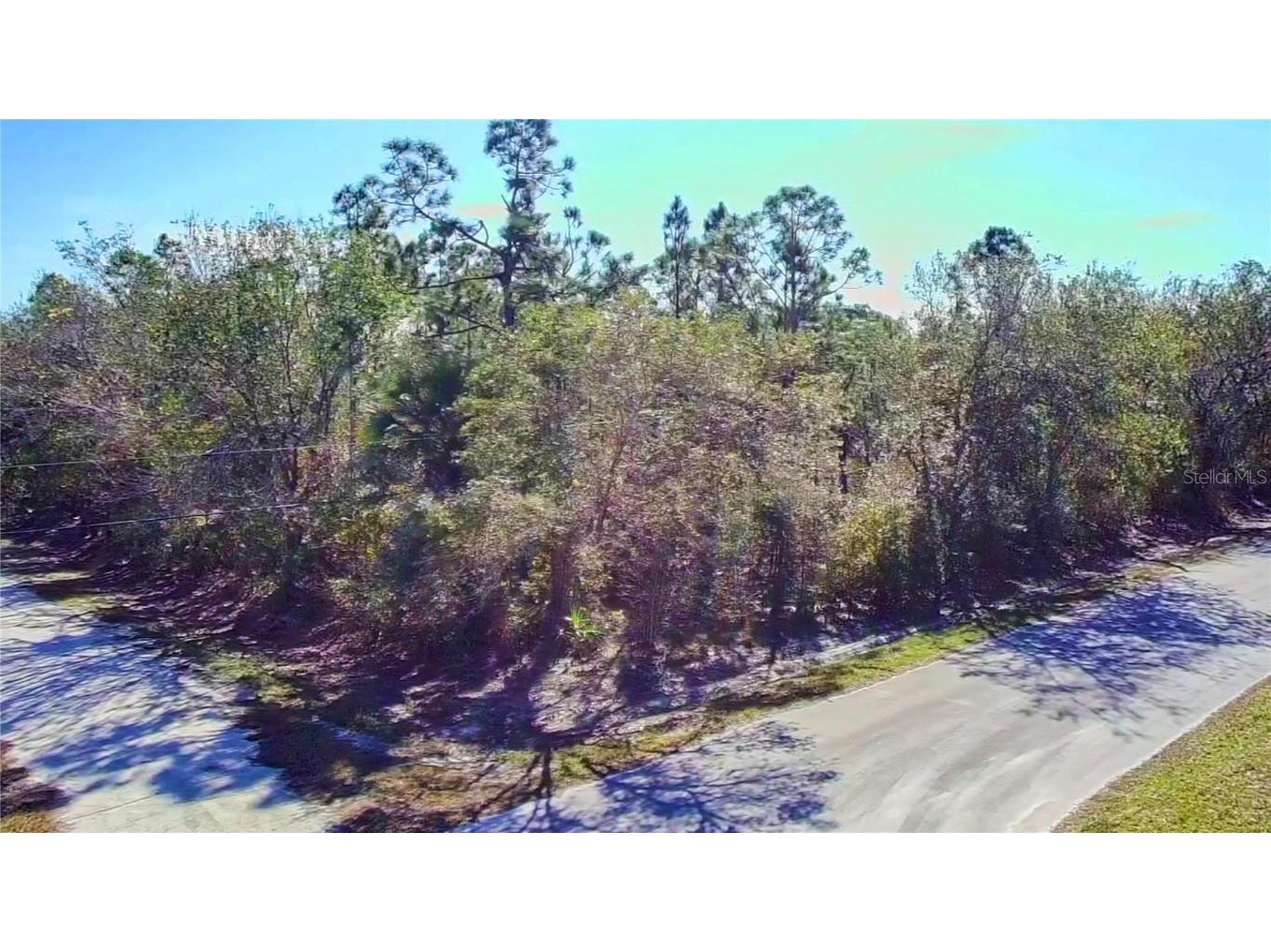 27283 Treadmill Drive Punta Gorda FL 33955 A4638218 image4