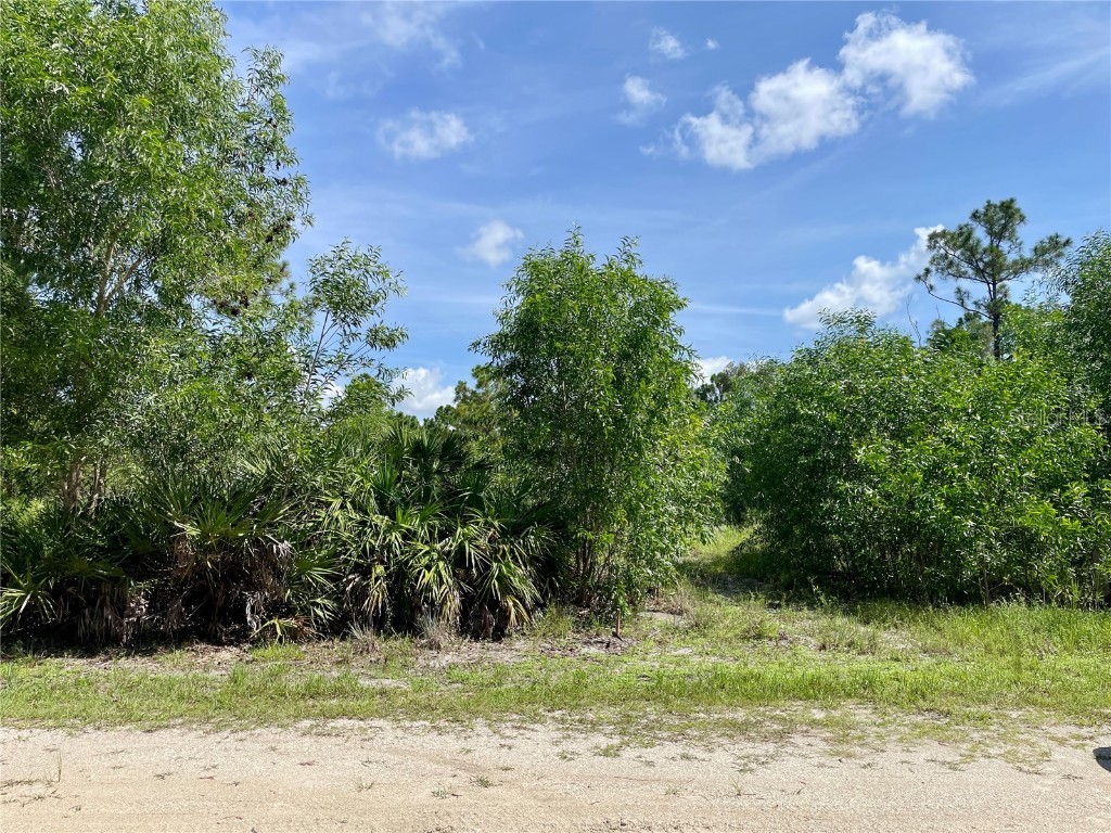 27285 Plumosa Drive Punta Gorda FL 33955 C7512799 image4