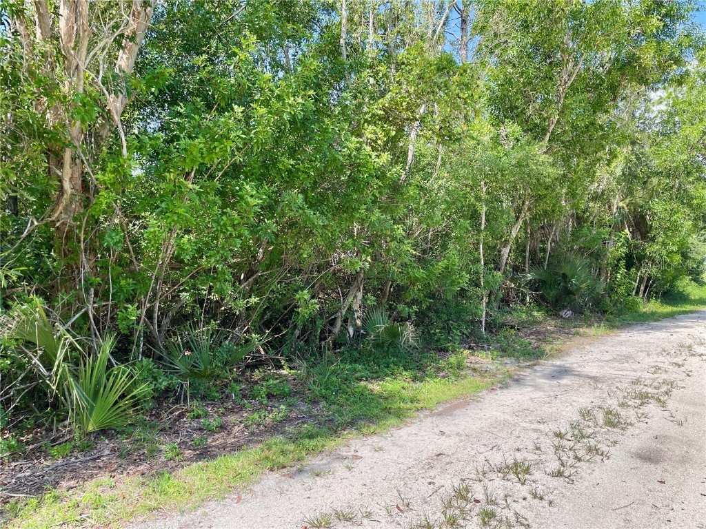 27285 Plumosa Drive Punta Gorda FL 33955 C7512799 image6