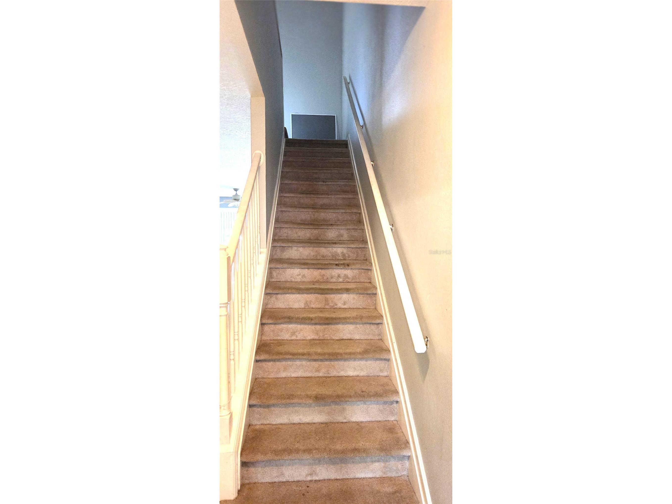 2729 Conch Hollow Drive Brandon FL 33511 L4961140 image13