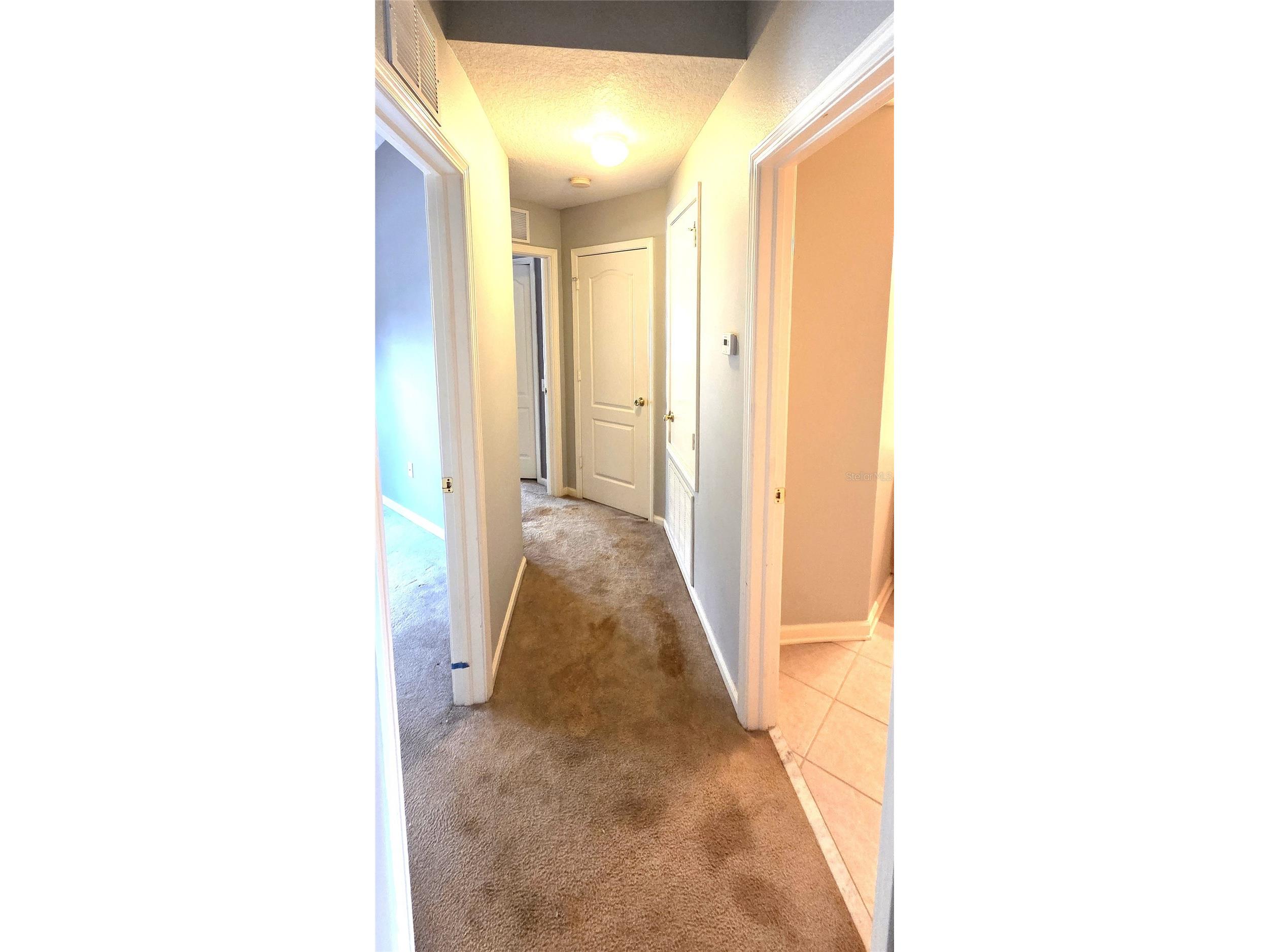 2729 Conch Hollow Drive Brandon FL 33511 L4961140 image15