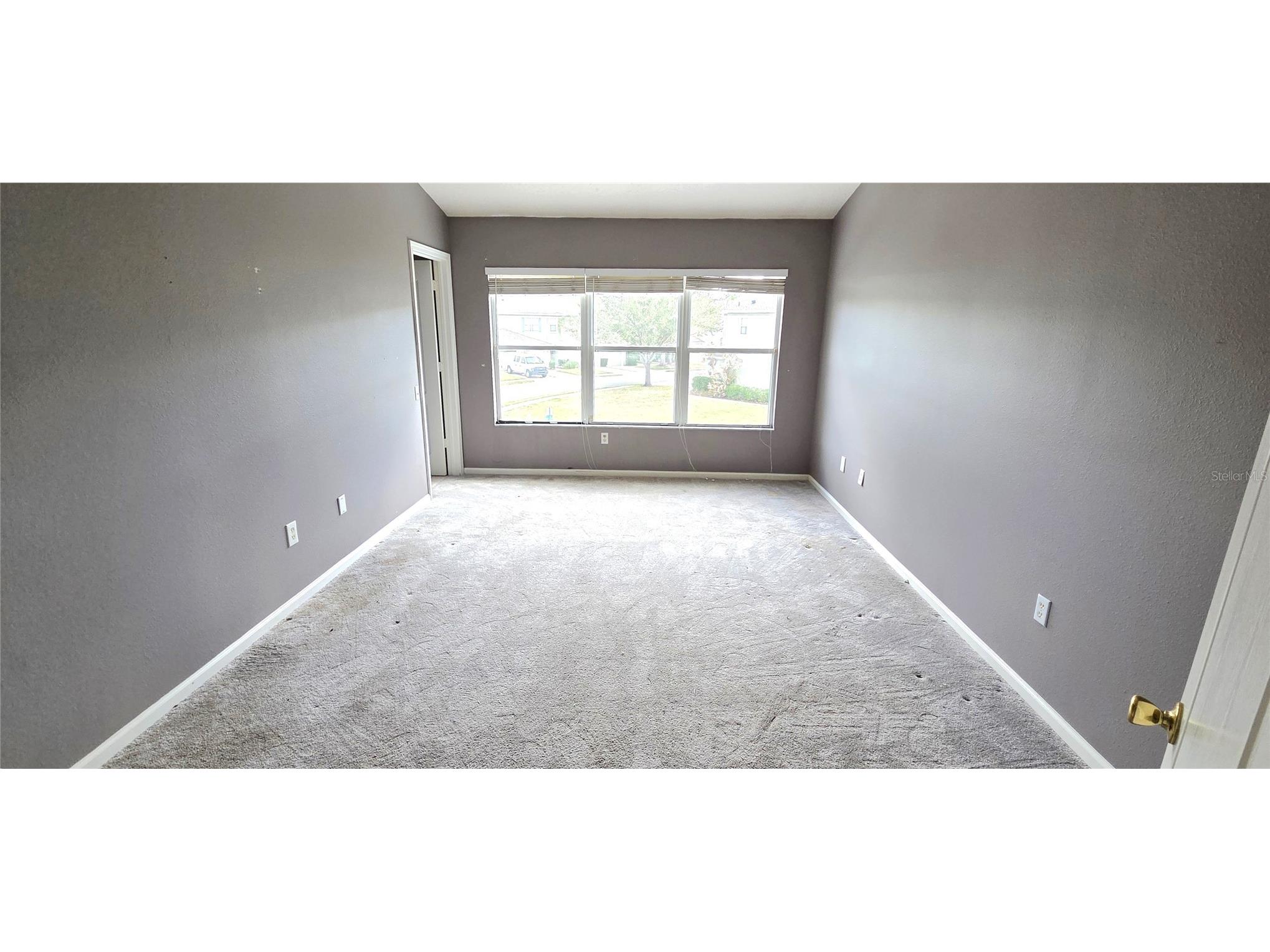 2729 Conch Hollow Drive Brandon FL 33511 L4961140 image18