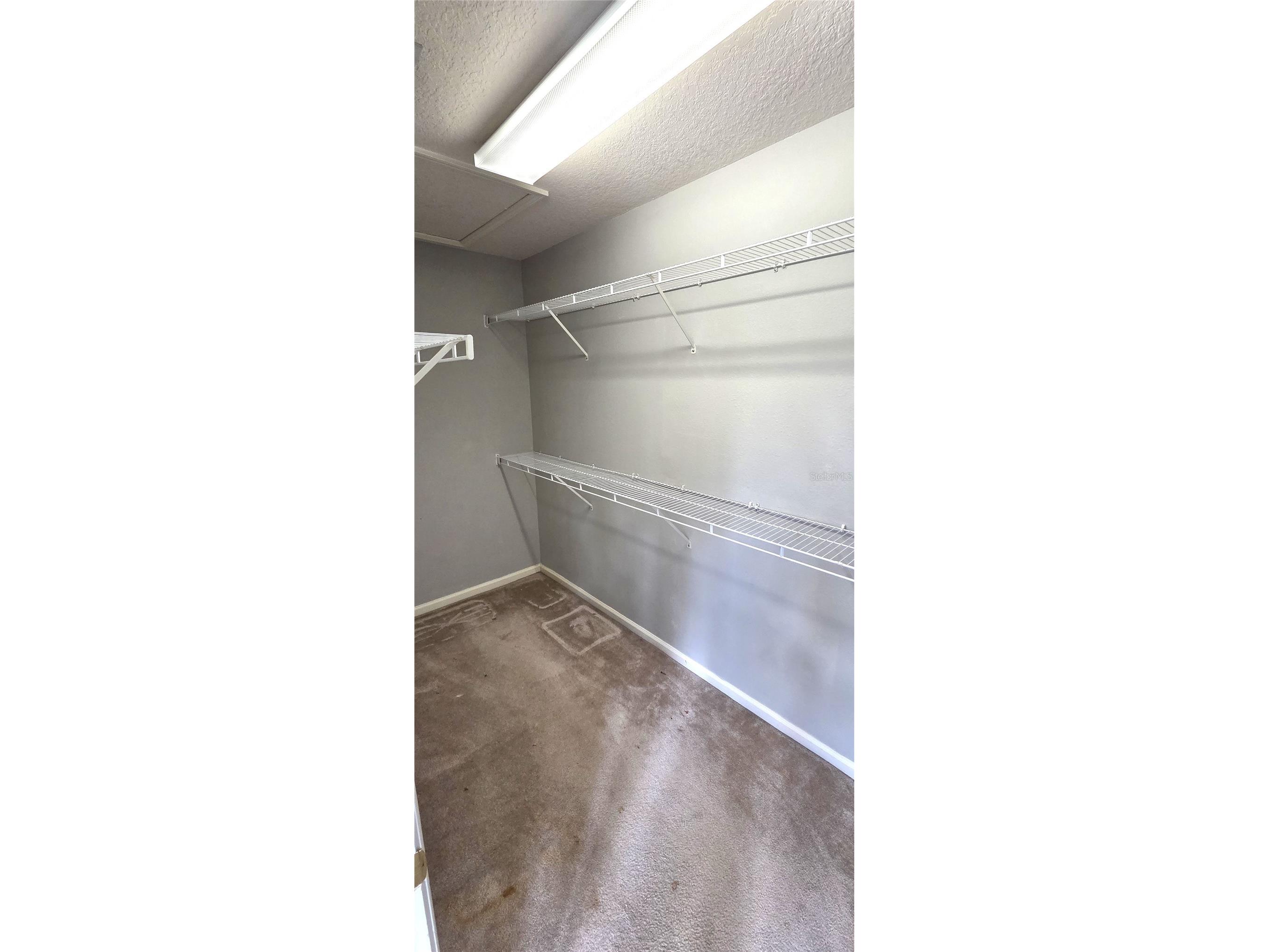 2729 Conch Hollow Drive Brandon FL 33511 L4961140 image20