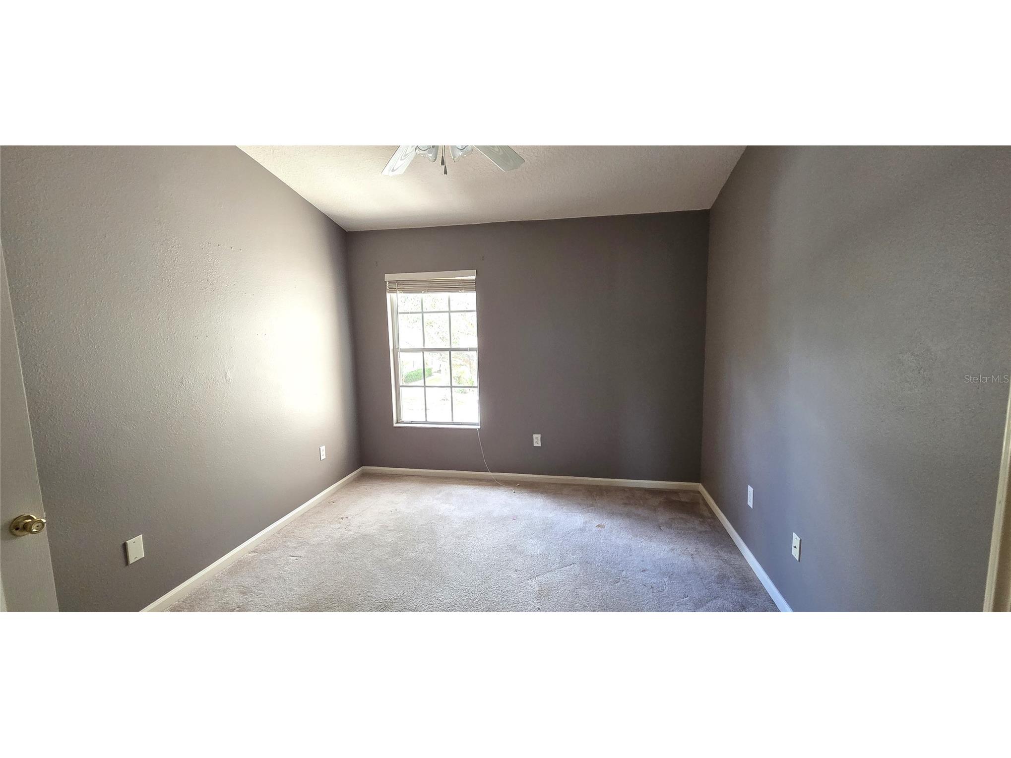 2729 Conch Hollow Drive Brandon FL 33511 L4961140 image25