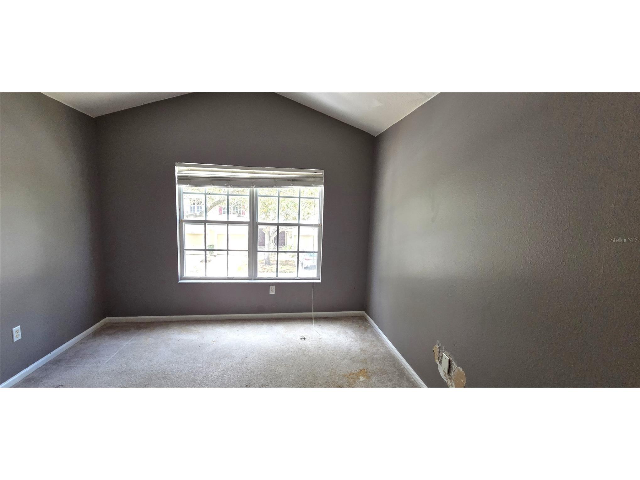 2729 Conch Hollow Drive Brandon FL 33511 L4961140 image28