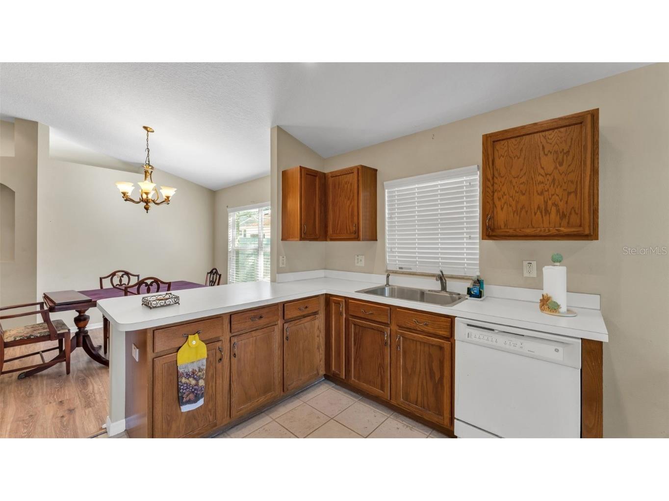 2729 Pankaw Lane Valrico FL 33596 L4956940 image11