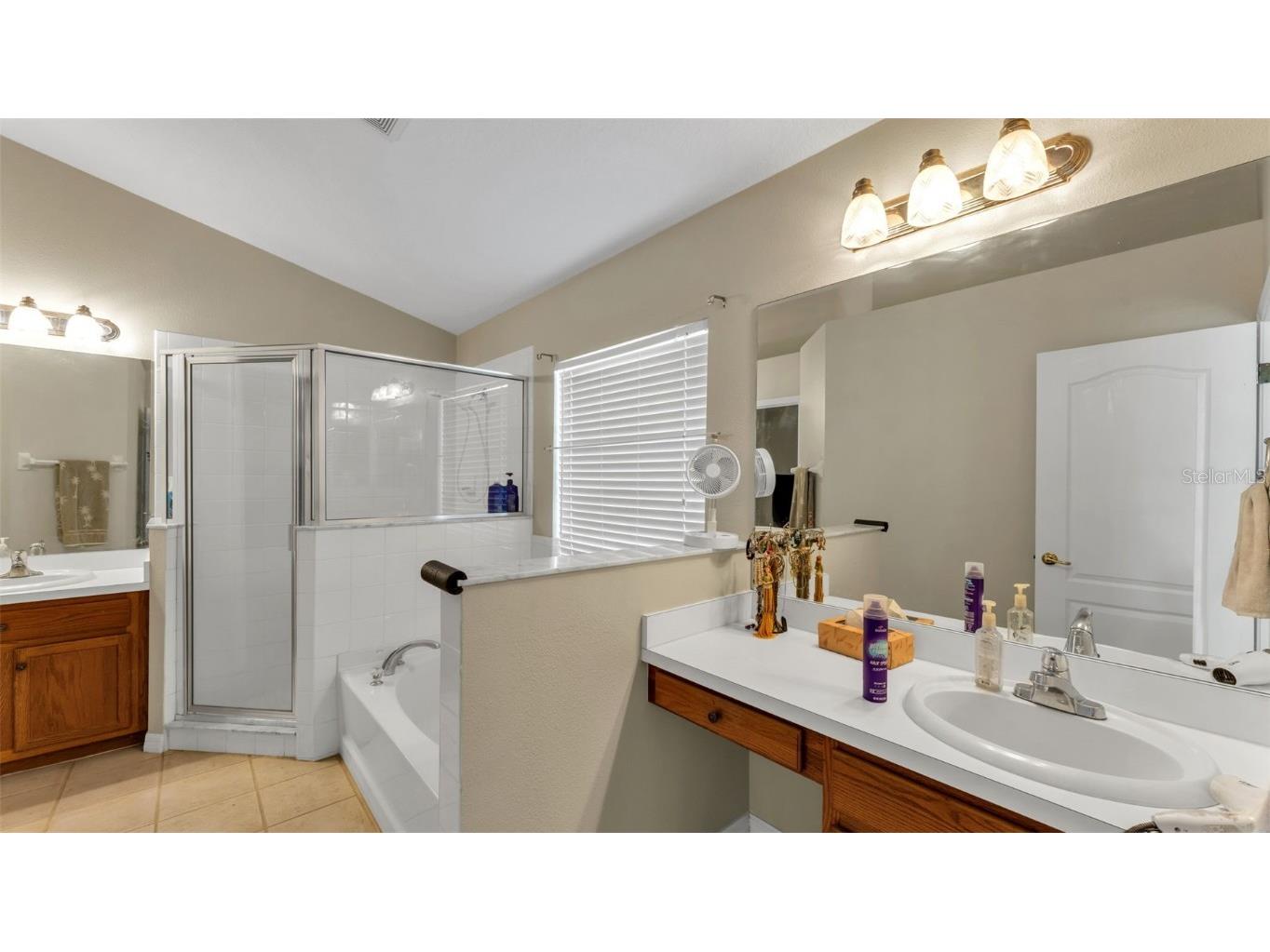 2729 Pankaw Lane Valrico FL 33596 L4956940 image16