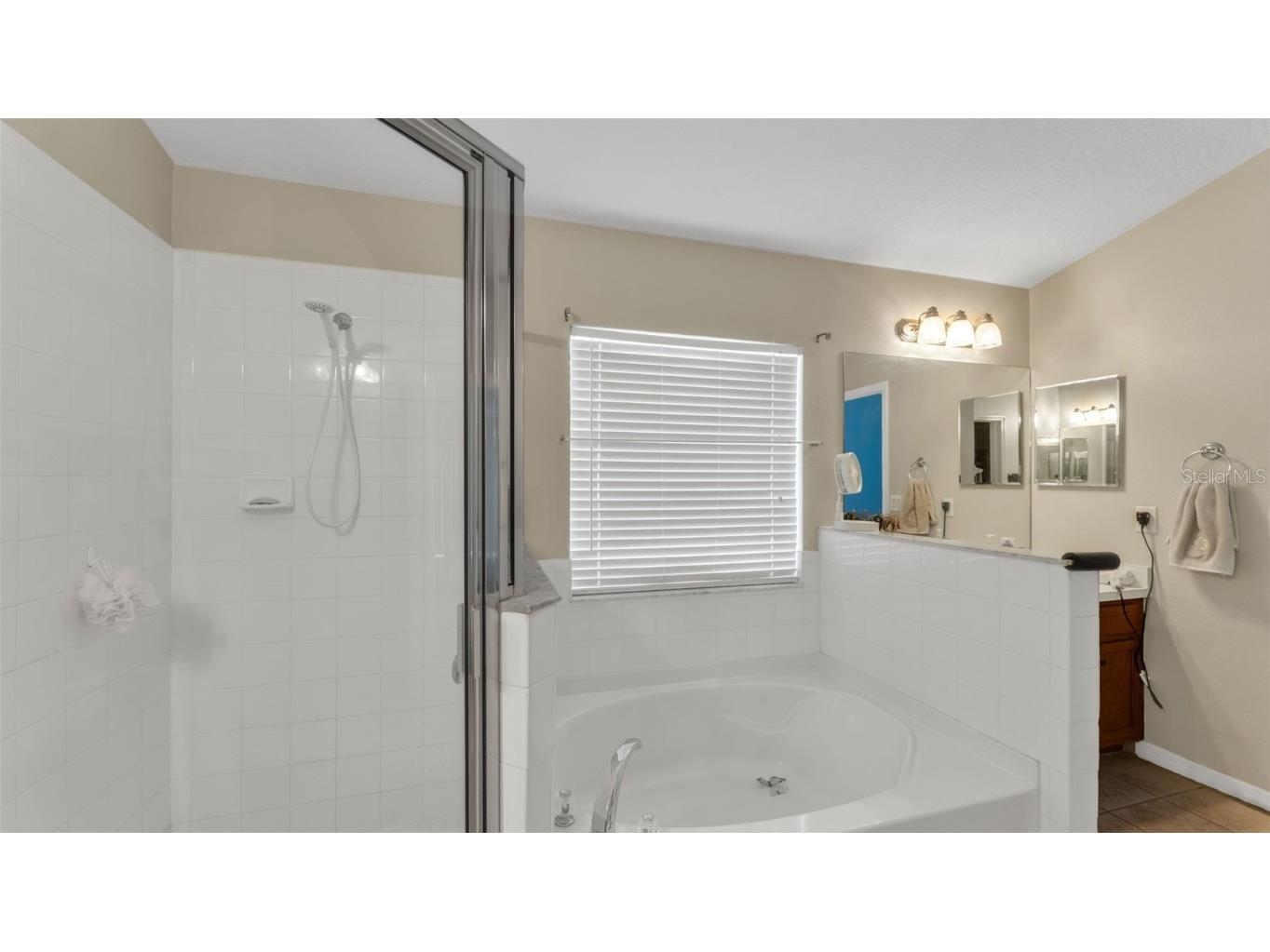 2729 Pankaw Lane Valrico FL 33596 L4956940 image17