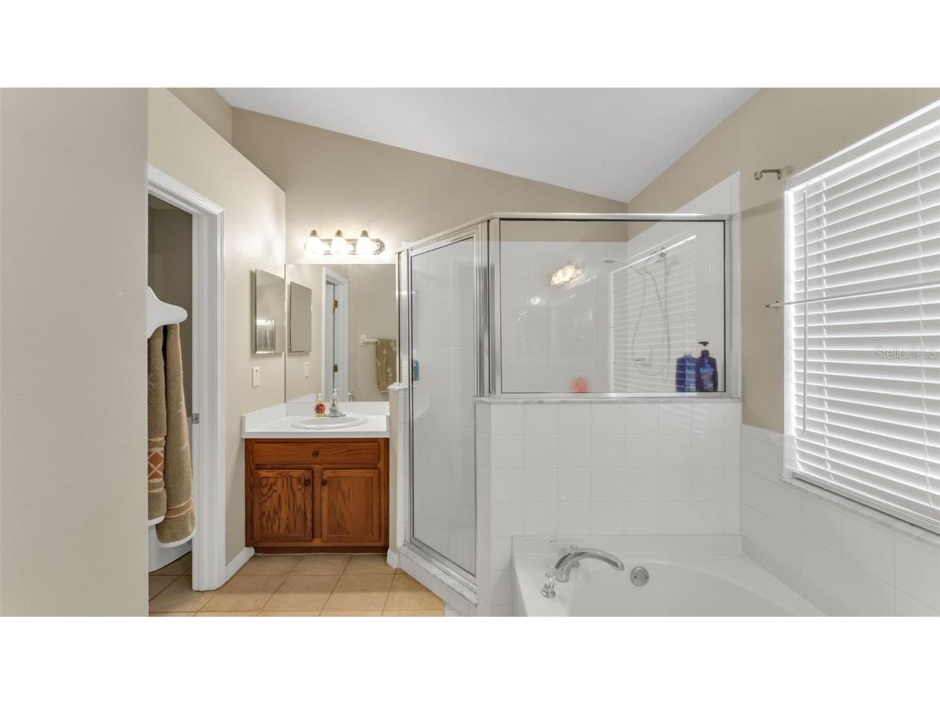 2729 Pankaw Lane Valrico FL 33596 L4956940 image18