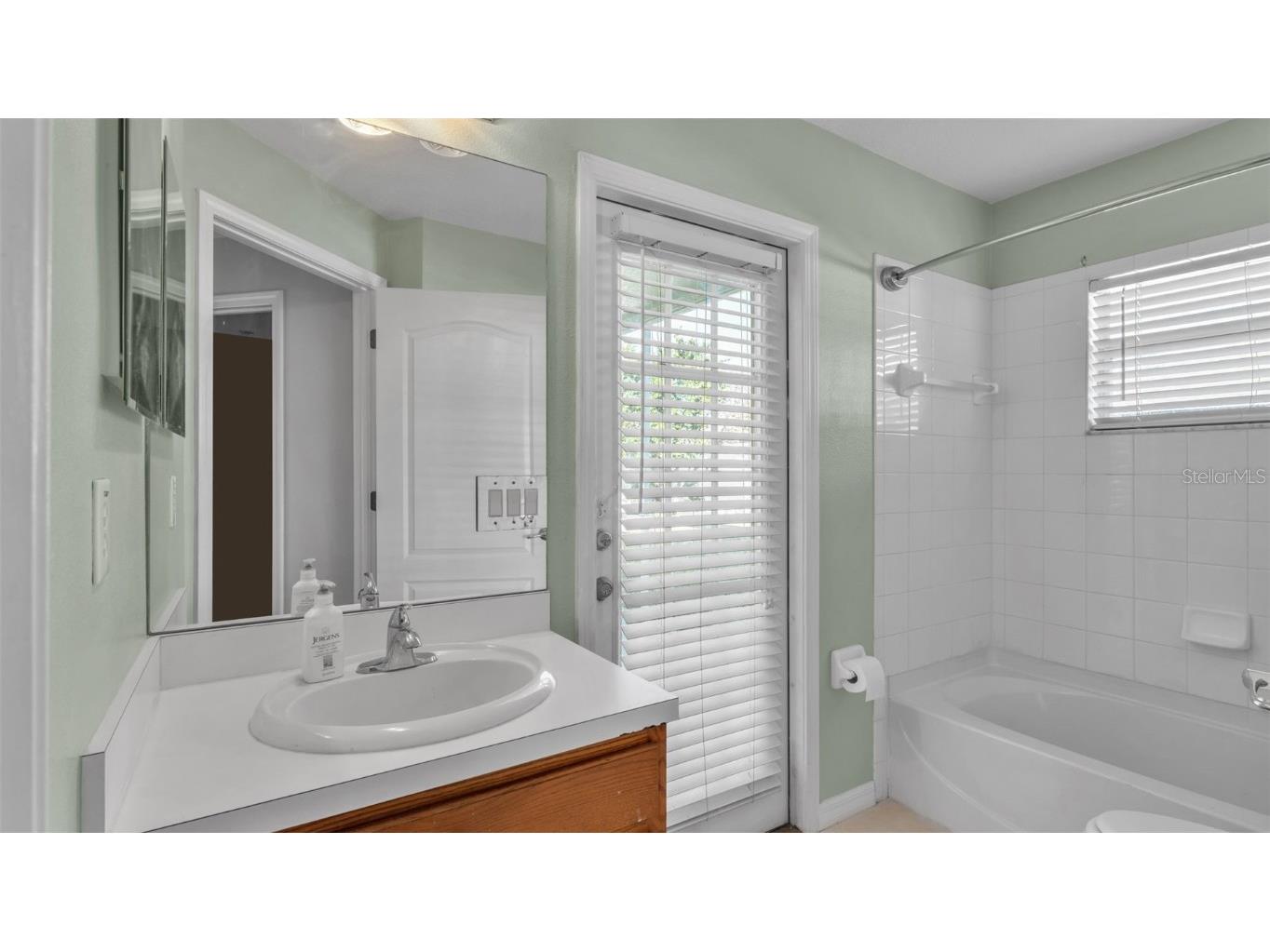 2729 Pankaw Lane Valrico FL 33596 L4956940 image19