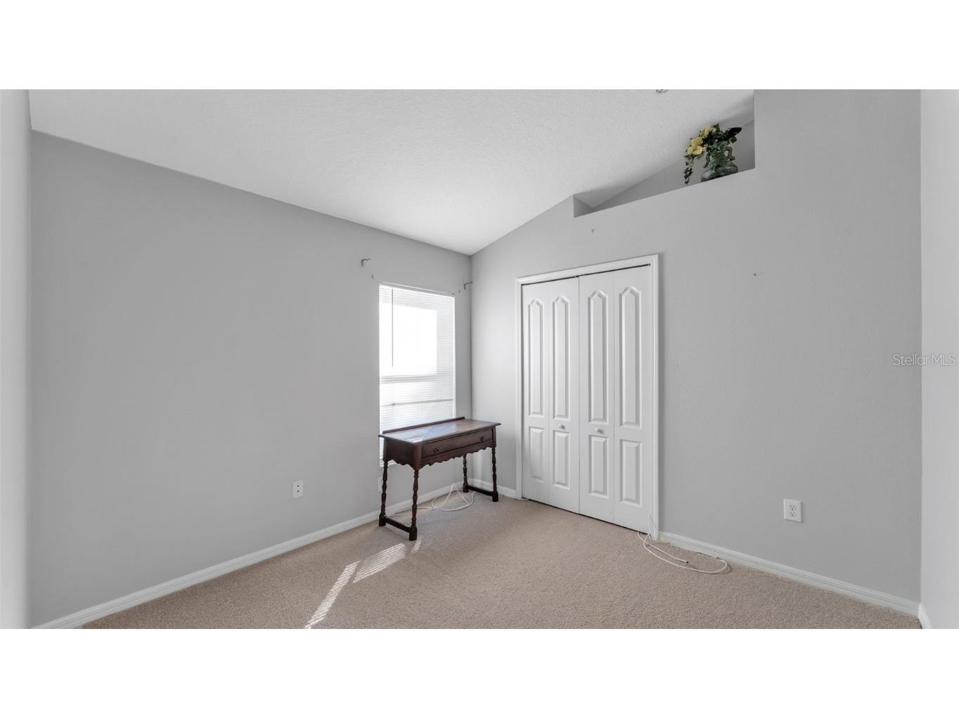 2729 Pankaw Lane Valrico FL 33596 L4956940 image22