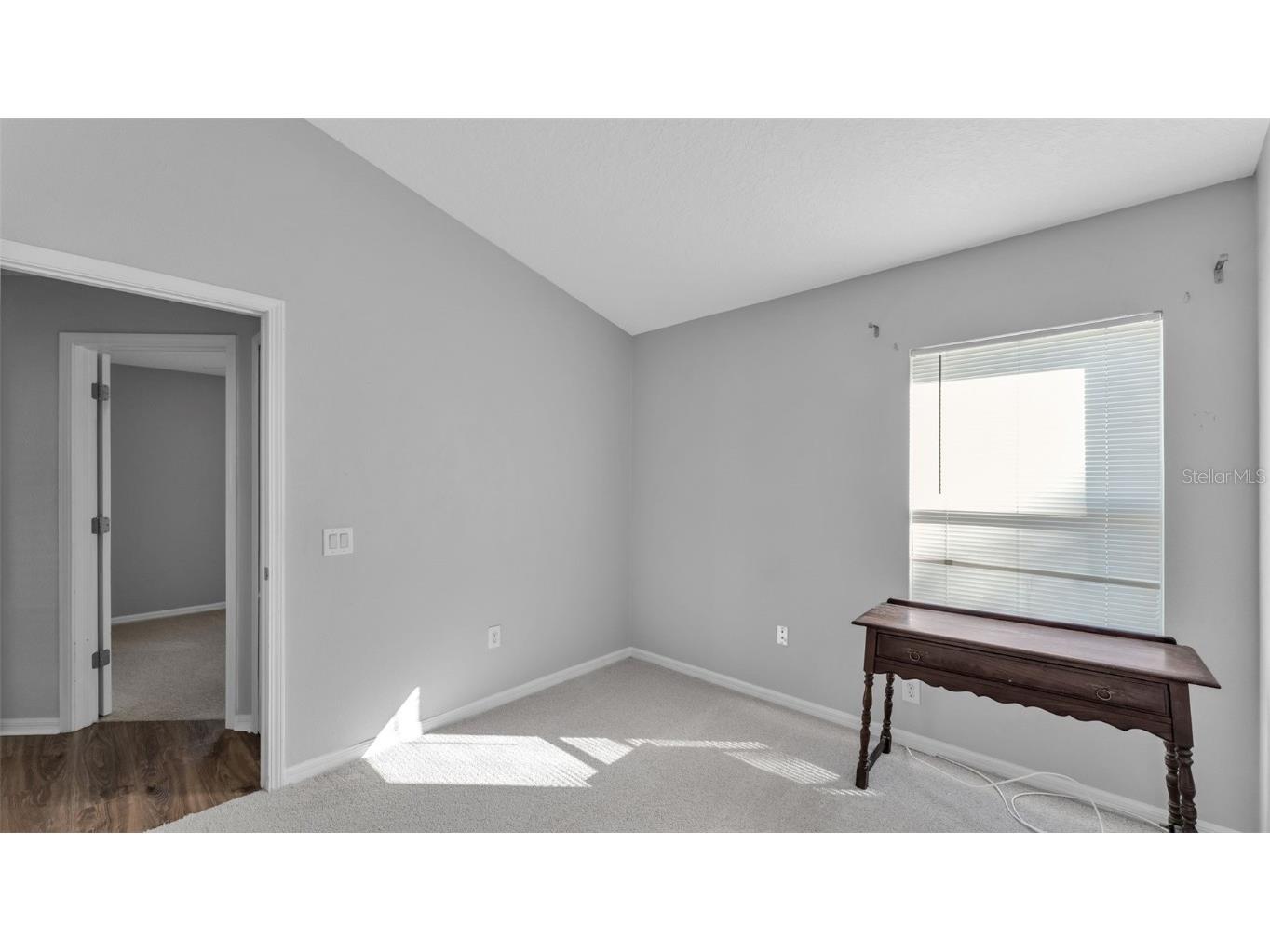 2729 Pankaw Lane Valrico FL 33596 L4956940 image23