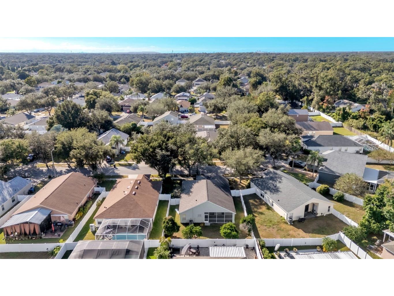 2729 Pankaw Lane Valrico FL 33596 L4956940 image4