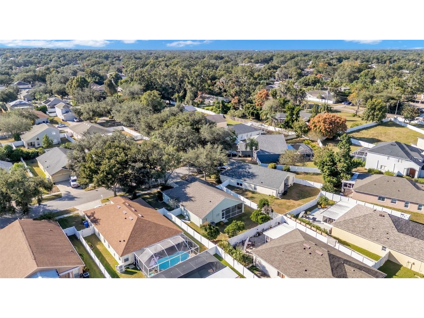 2729 Pankaw Lane Valrico FL 33596 L4956940 image5