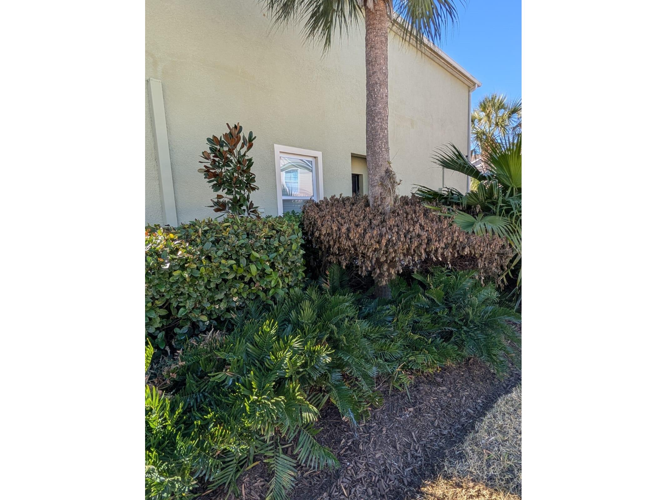 273 Arbor Lakes Drive Davenport FL 33896 O6380594 image4