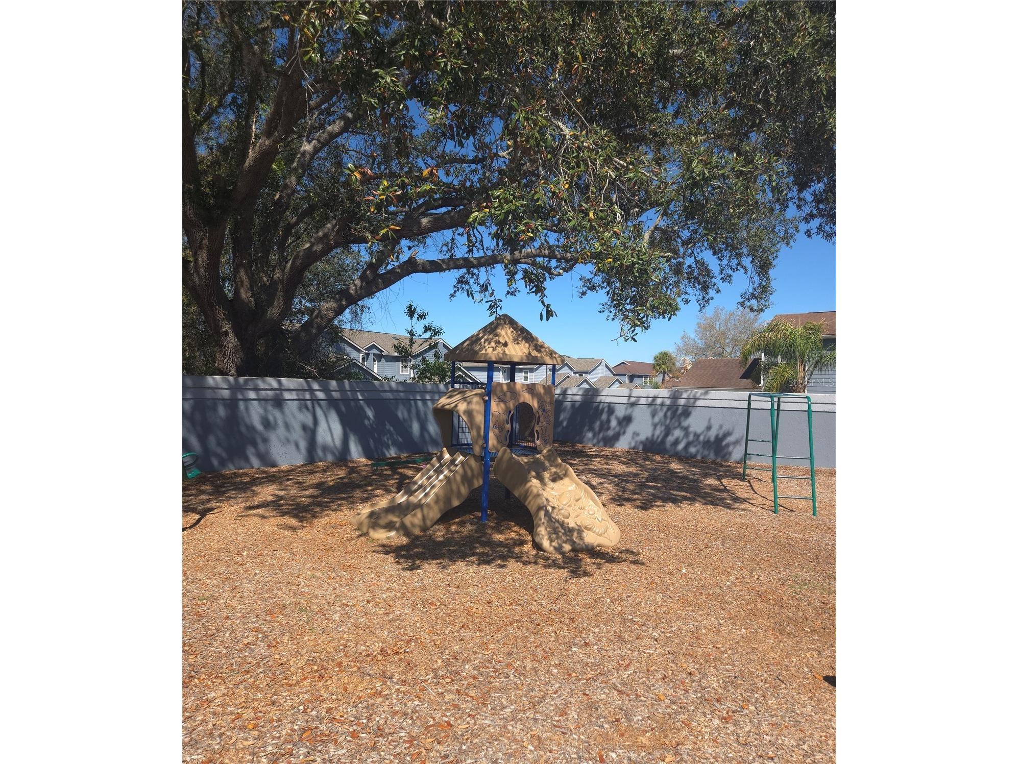 273 Coco Plum Drive Davenport FL 33897 S5146318 image59
