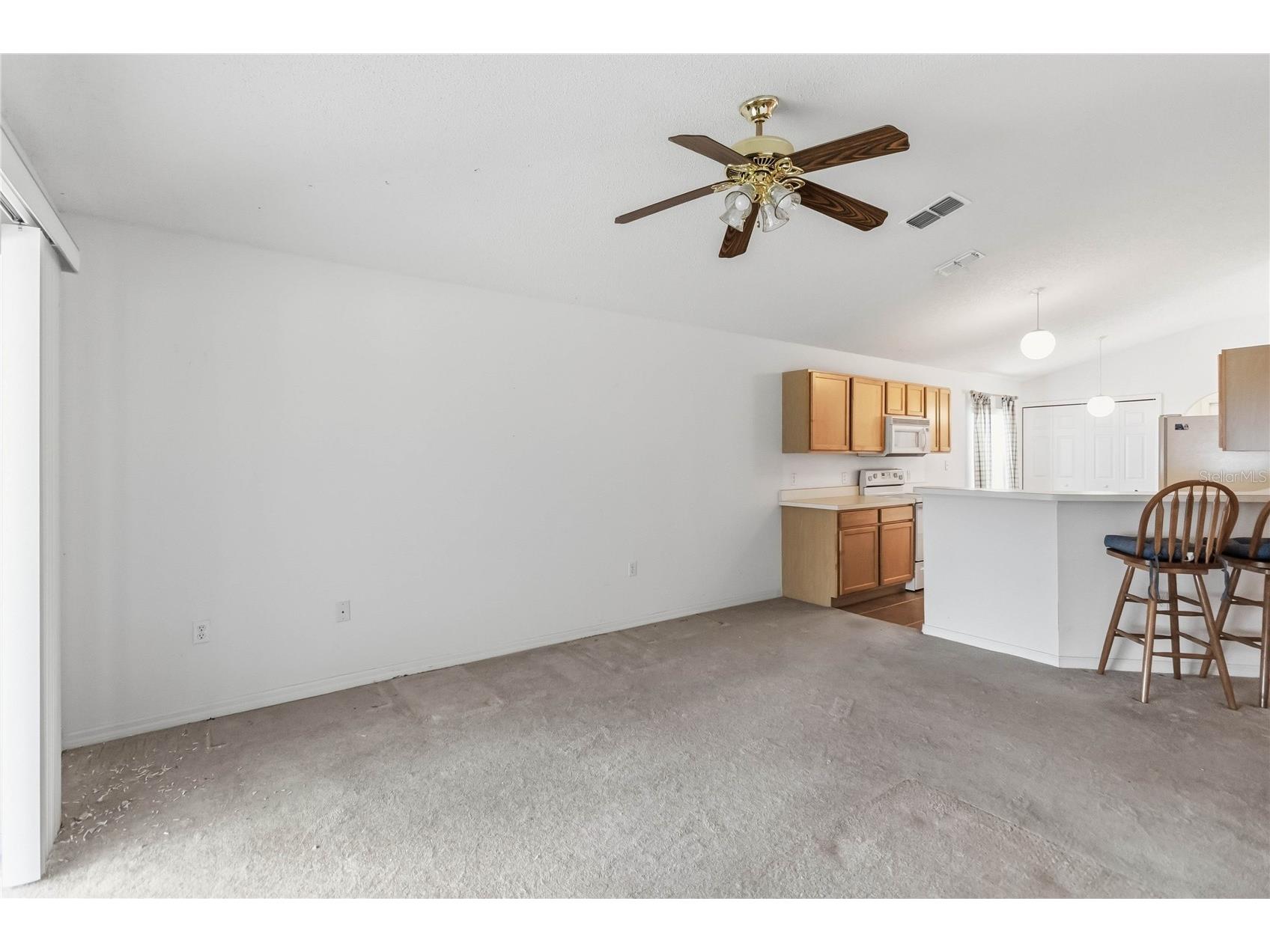 273 Curtis Avenue Groveland FL 34736 S5146749 image26