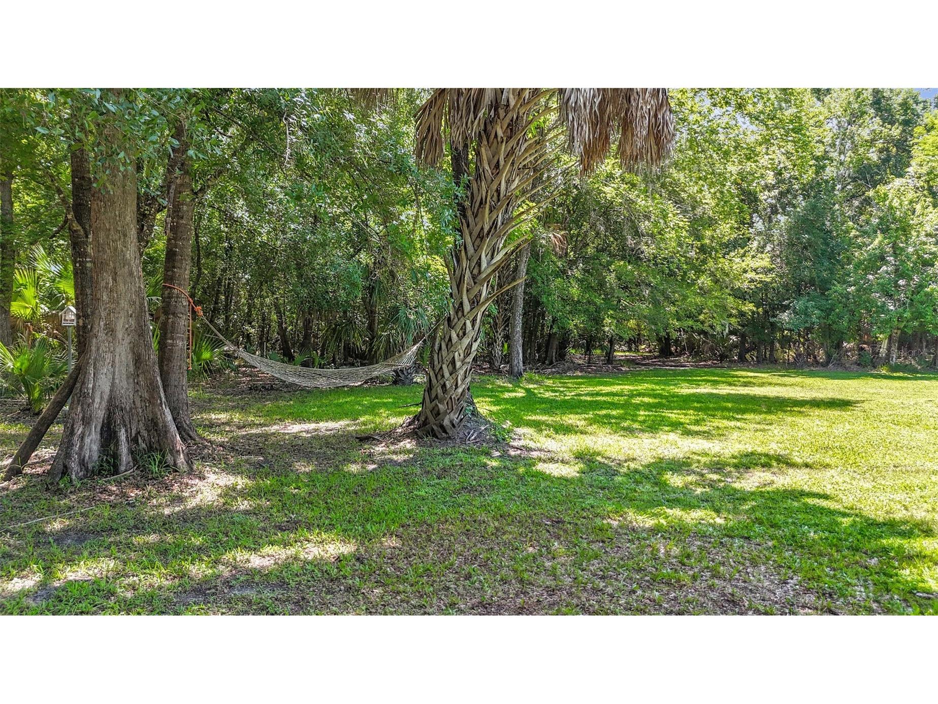 273 Griffin Road Wauchula FL 33873 L4962836 image35