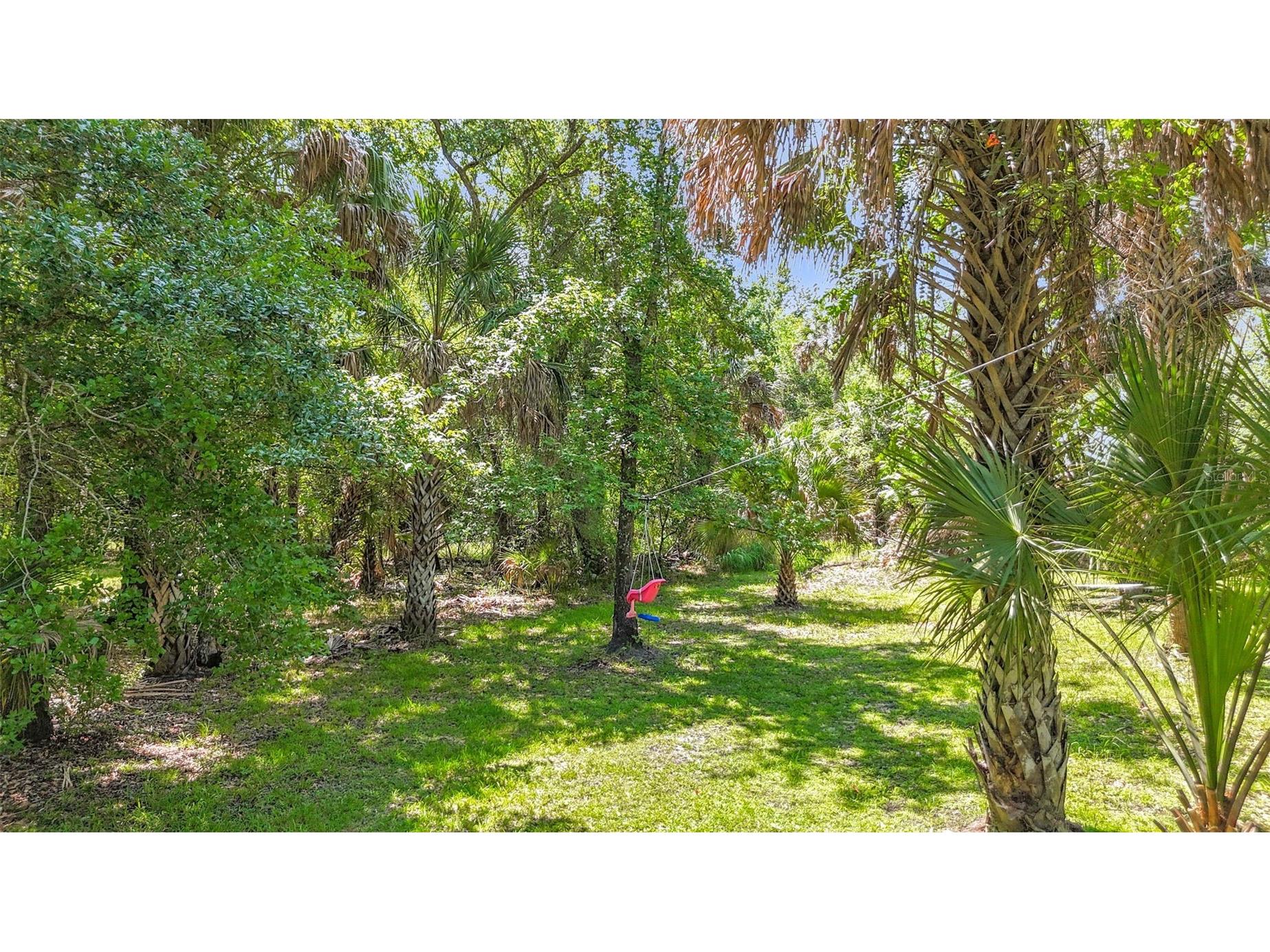 273 Griffin Road Wauchula FL 33873 L4962836 image37