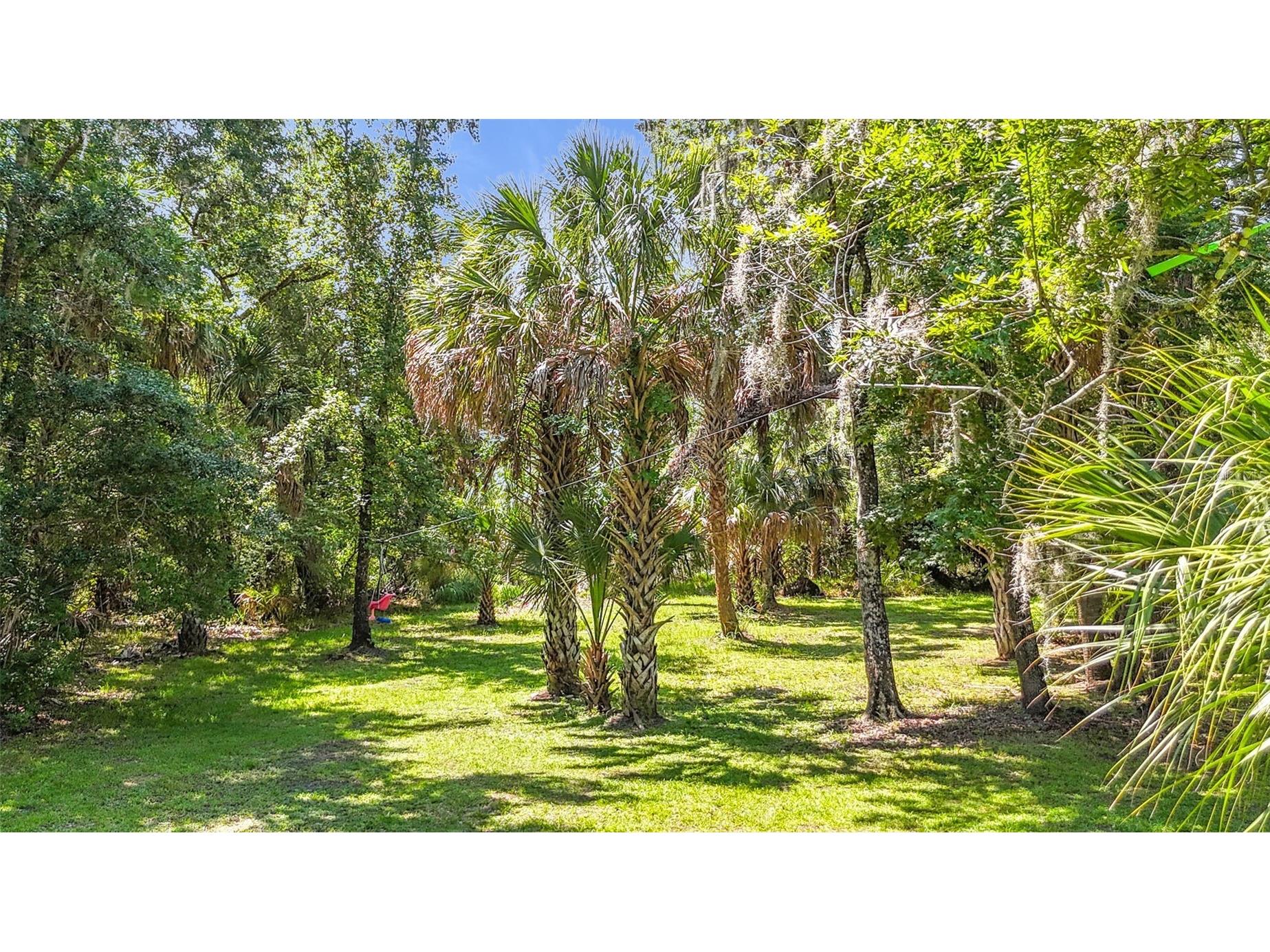 273 Griffin Road Wauchula FL 33873 L4962836 image38