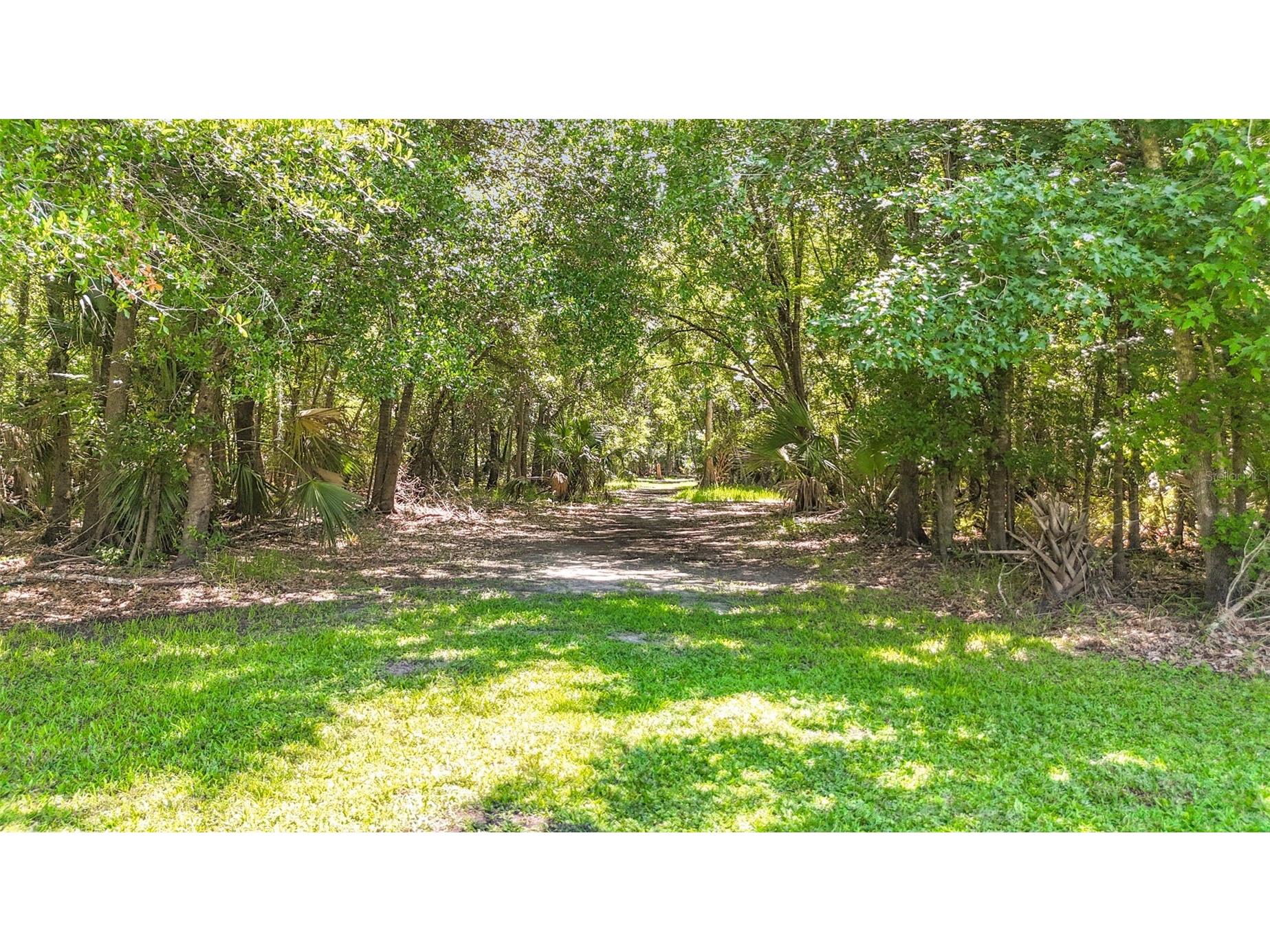 273 Griffin Road Wauchula FL 33873 L4962836 image40