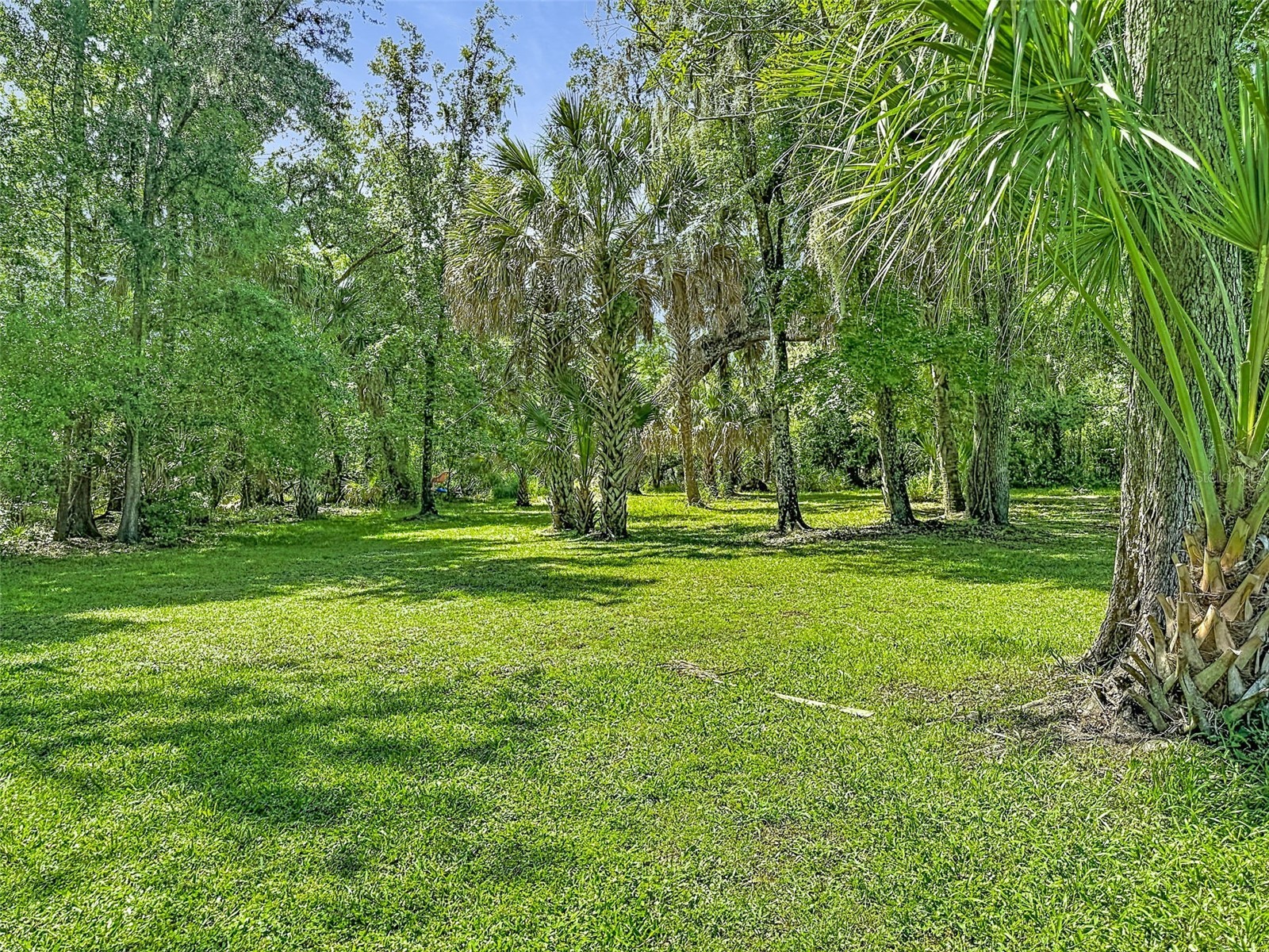273 Griffin Road Wauchula FL 33873 L4962836 image42