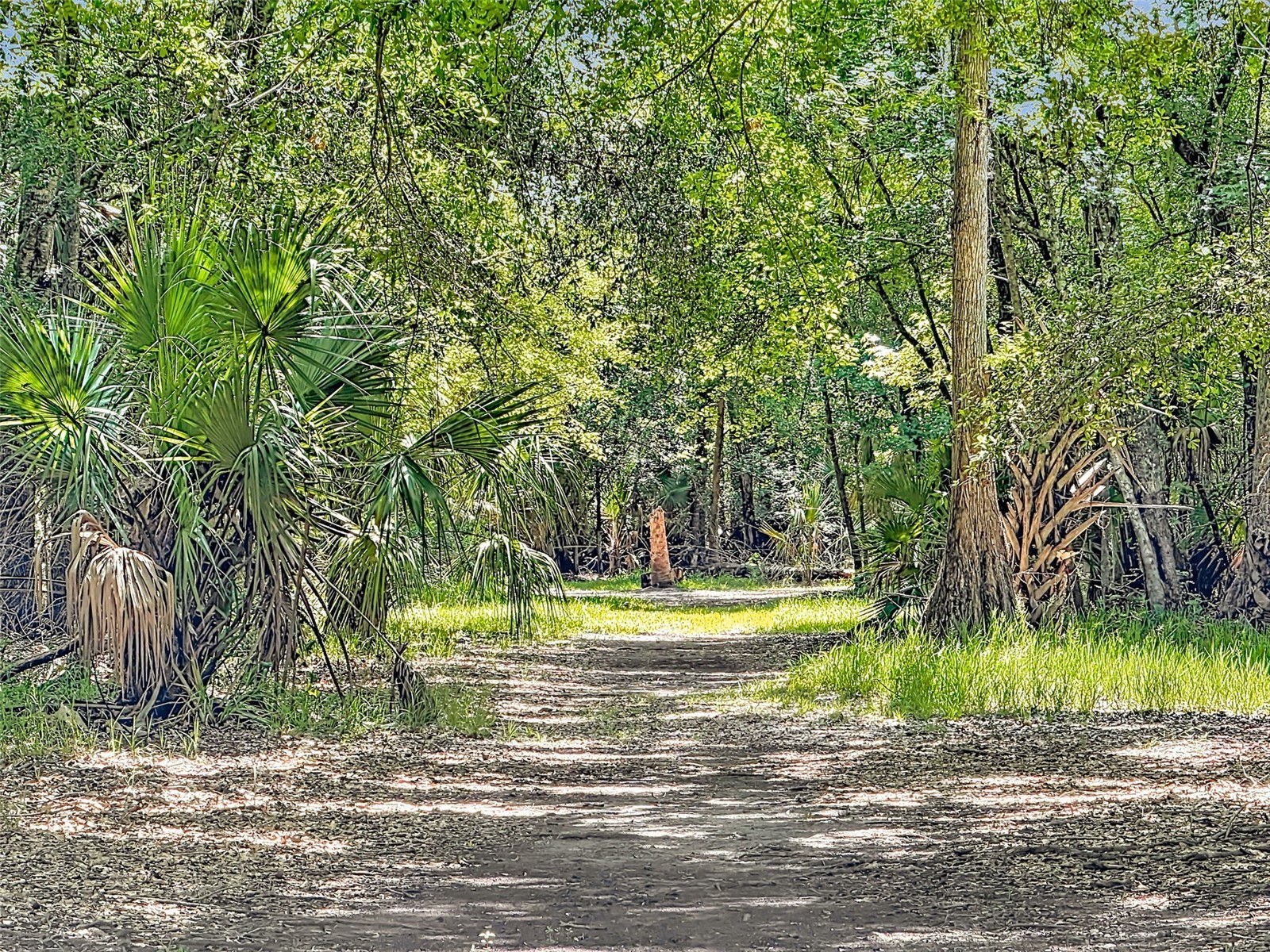 273 Griffin Road Wauchula FL 33873 L4962836 image43