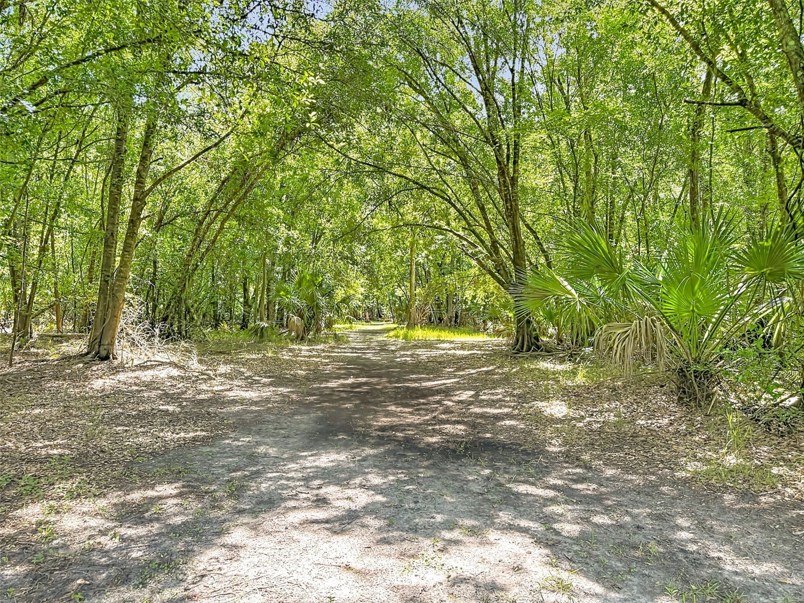 273 Griffin Road Wauchula FL 33873 L4962836 image44