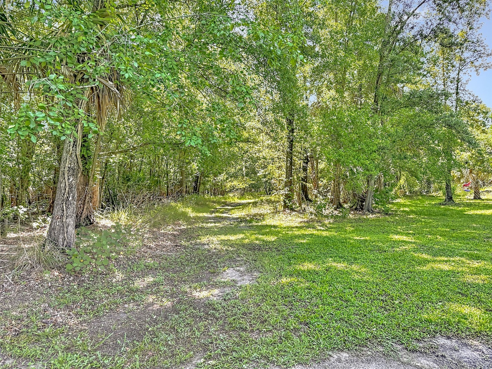 273 Griffin Road Wauchula FL 33873 L4962836 image45