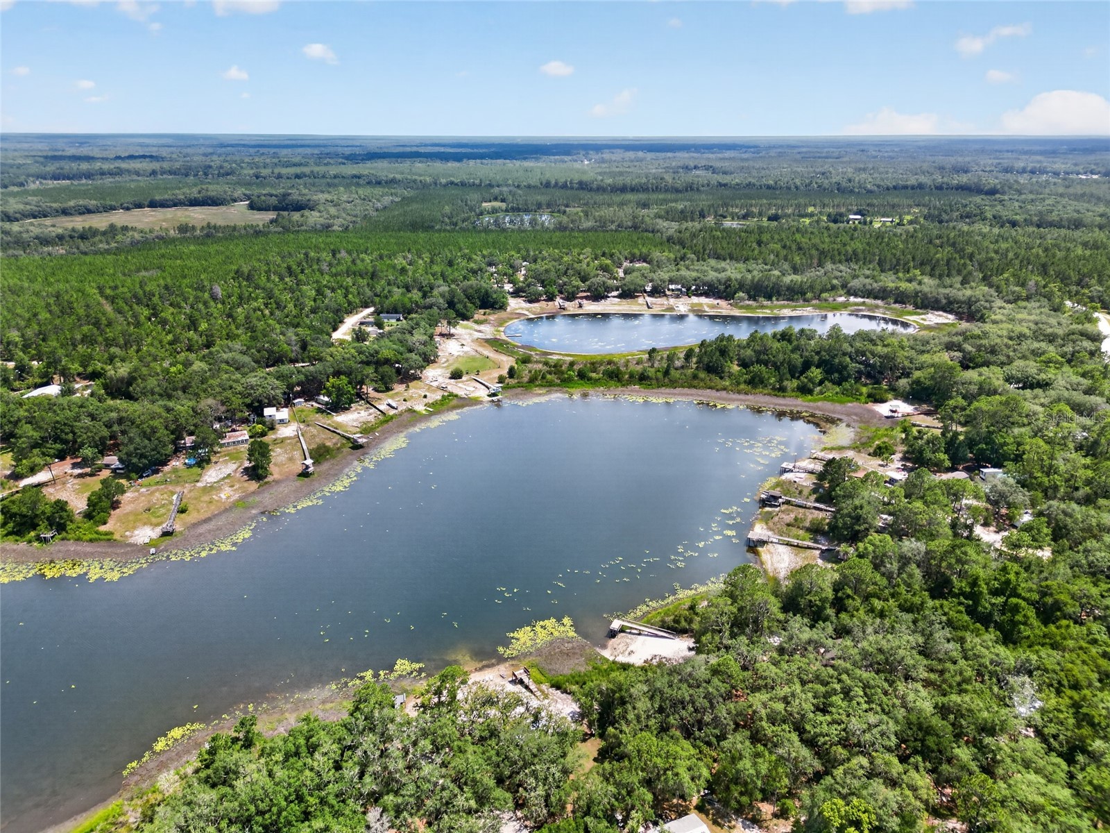 273 Neal Road Hawthorne FL 32640 OM727483 image32