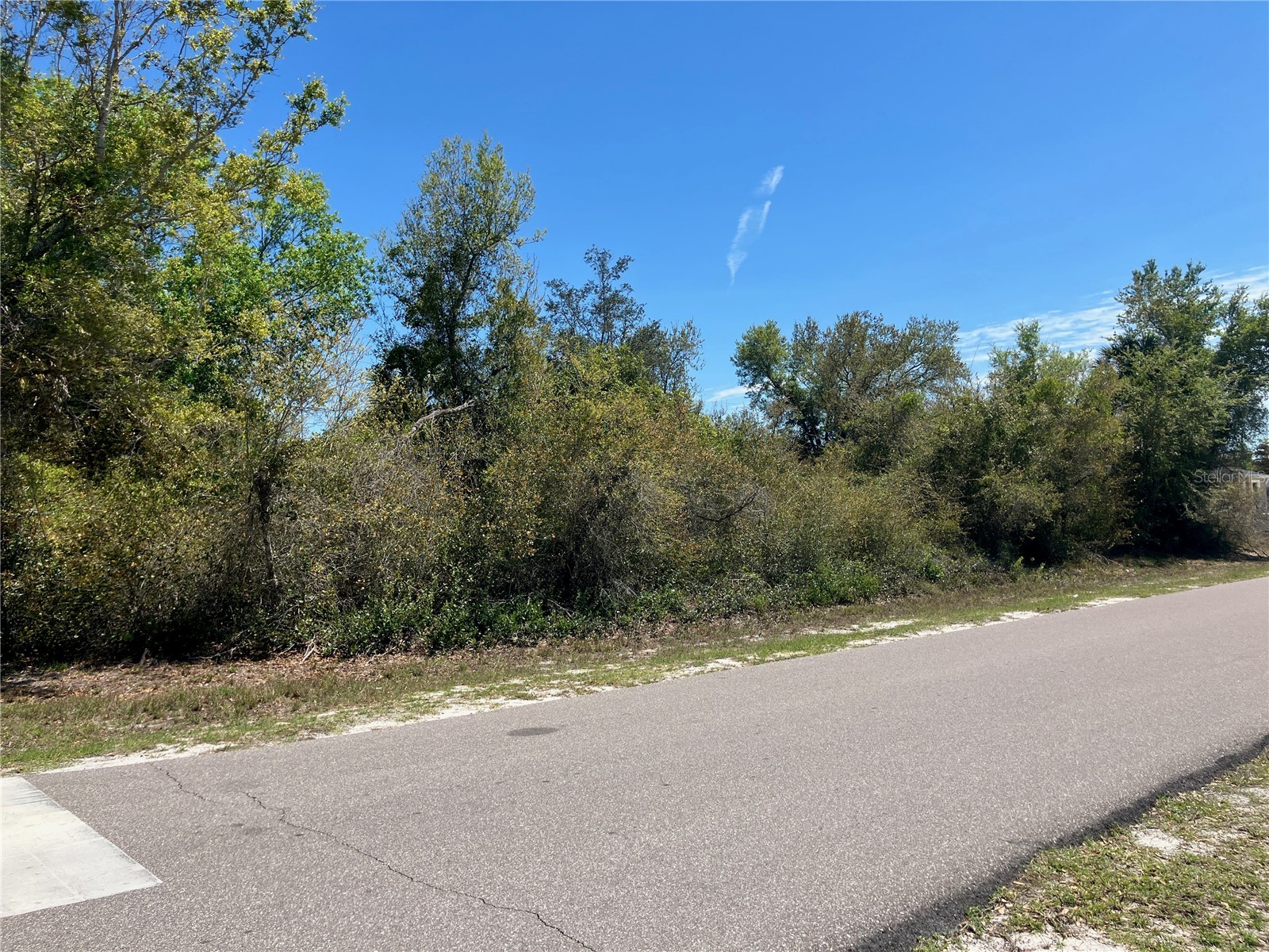 273 Omen Street Punta Gorda FL 33982 C7523232 image10